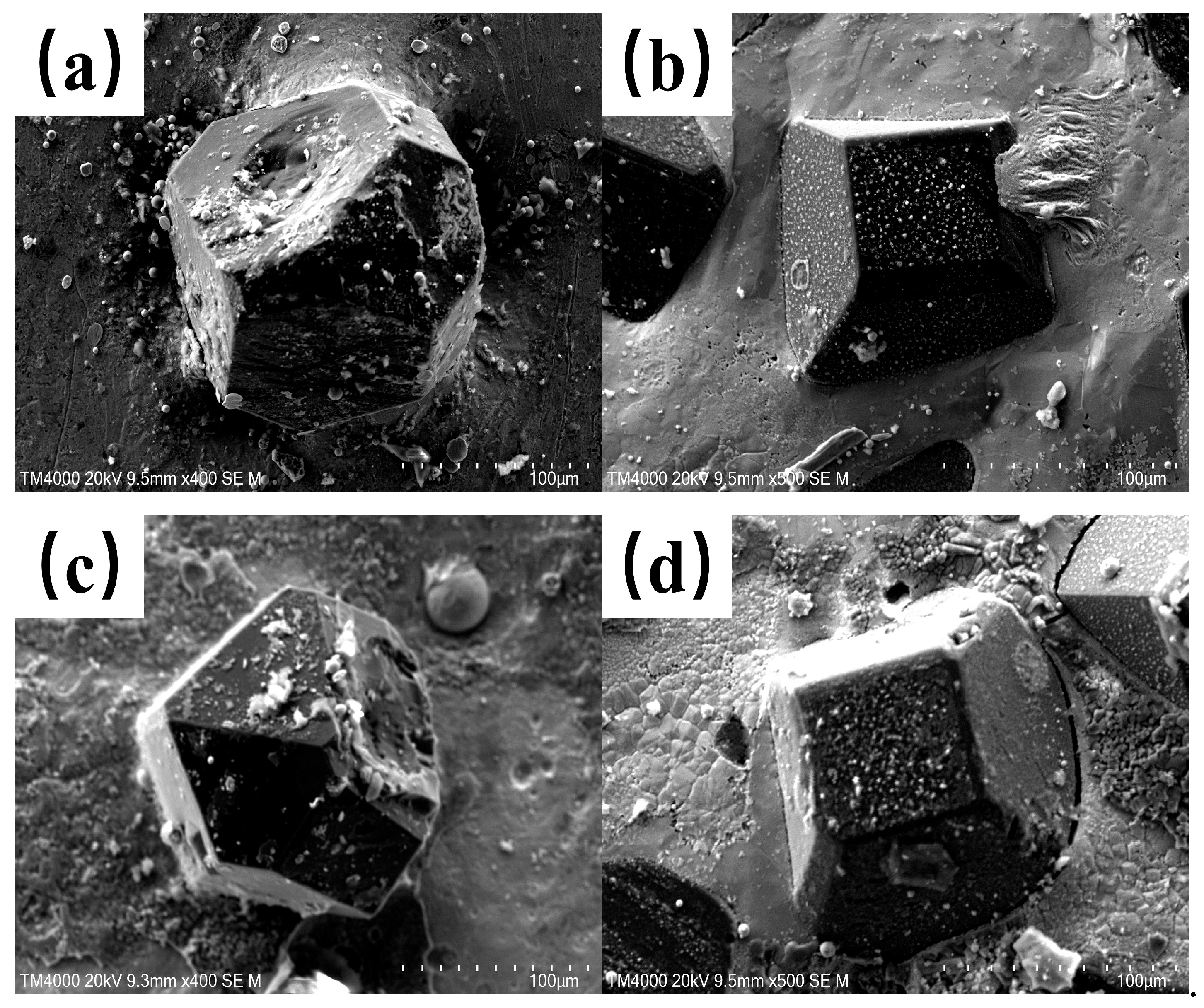 Materials 18 02402 g007