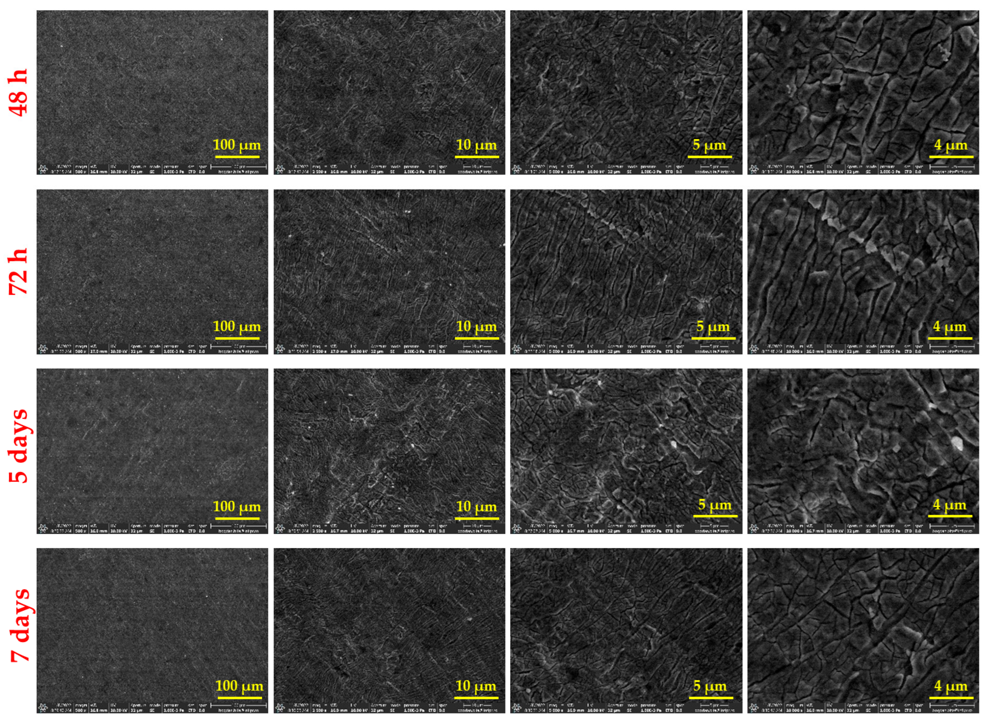 Materials 18 02410 g005