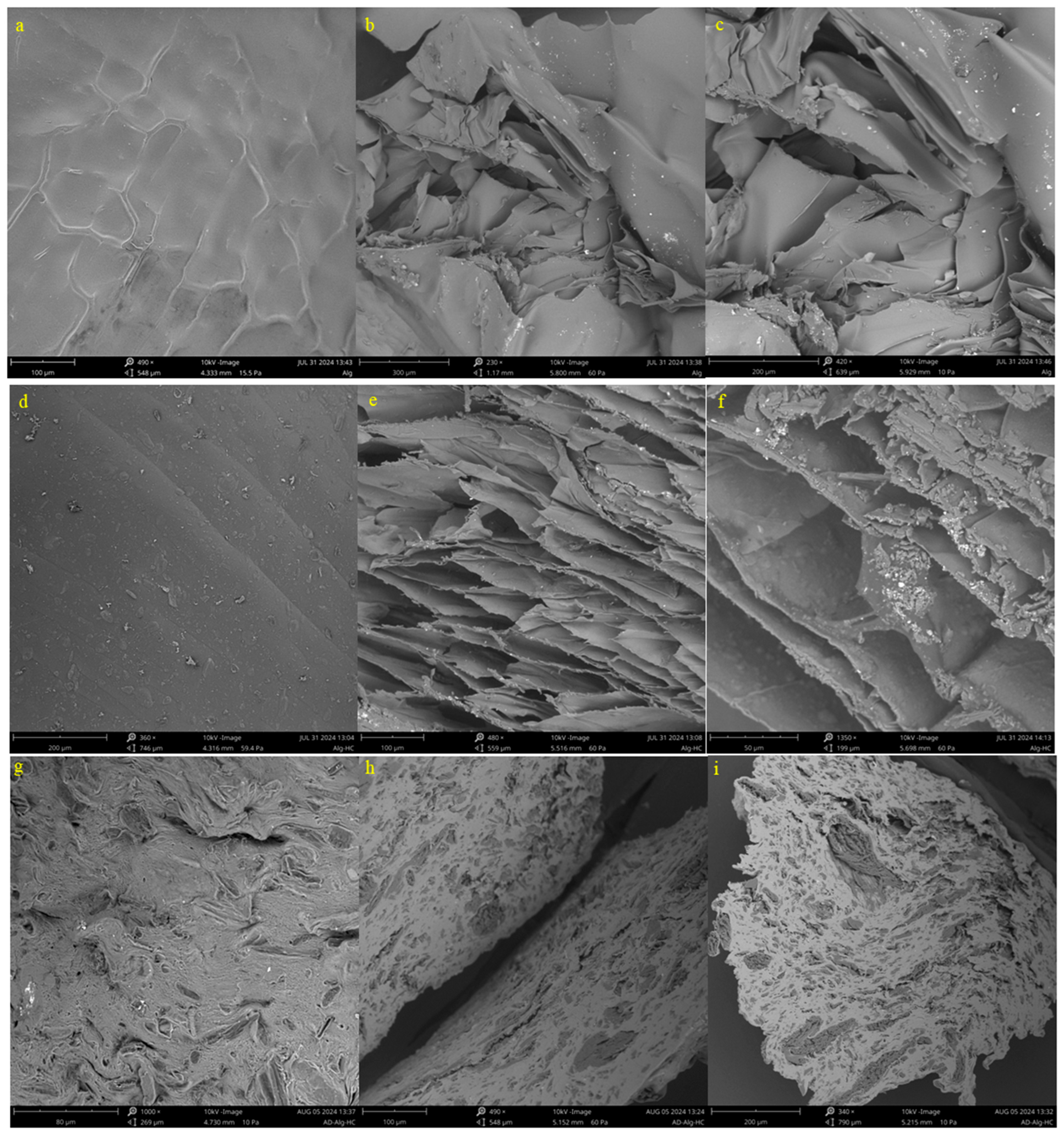 Materials 18 02412 g002