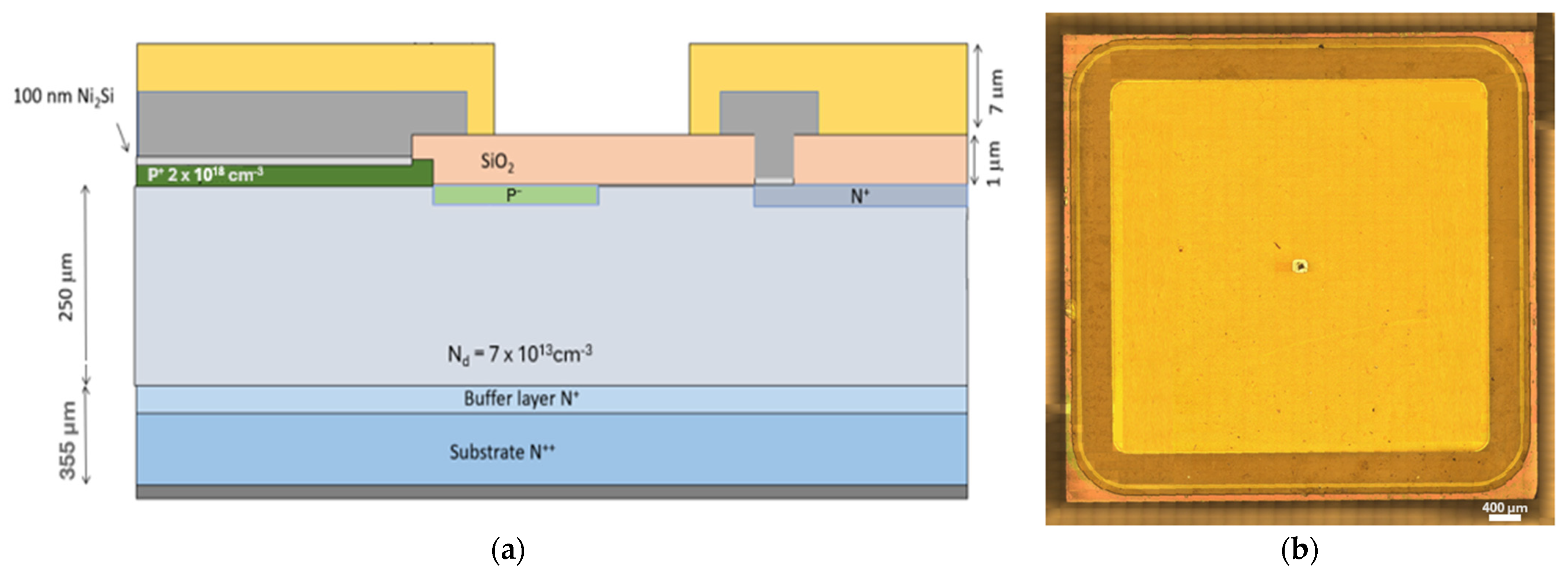 Materials 18 02413 g001