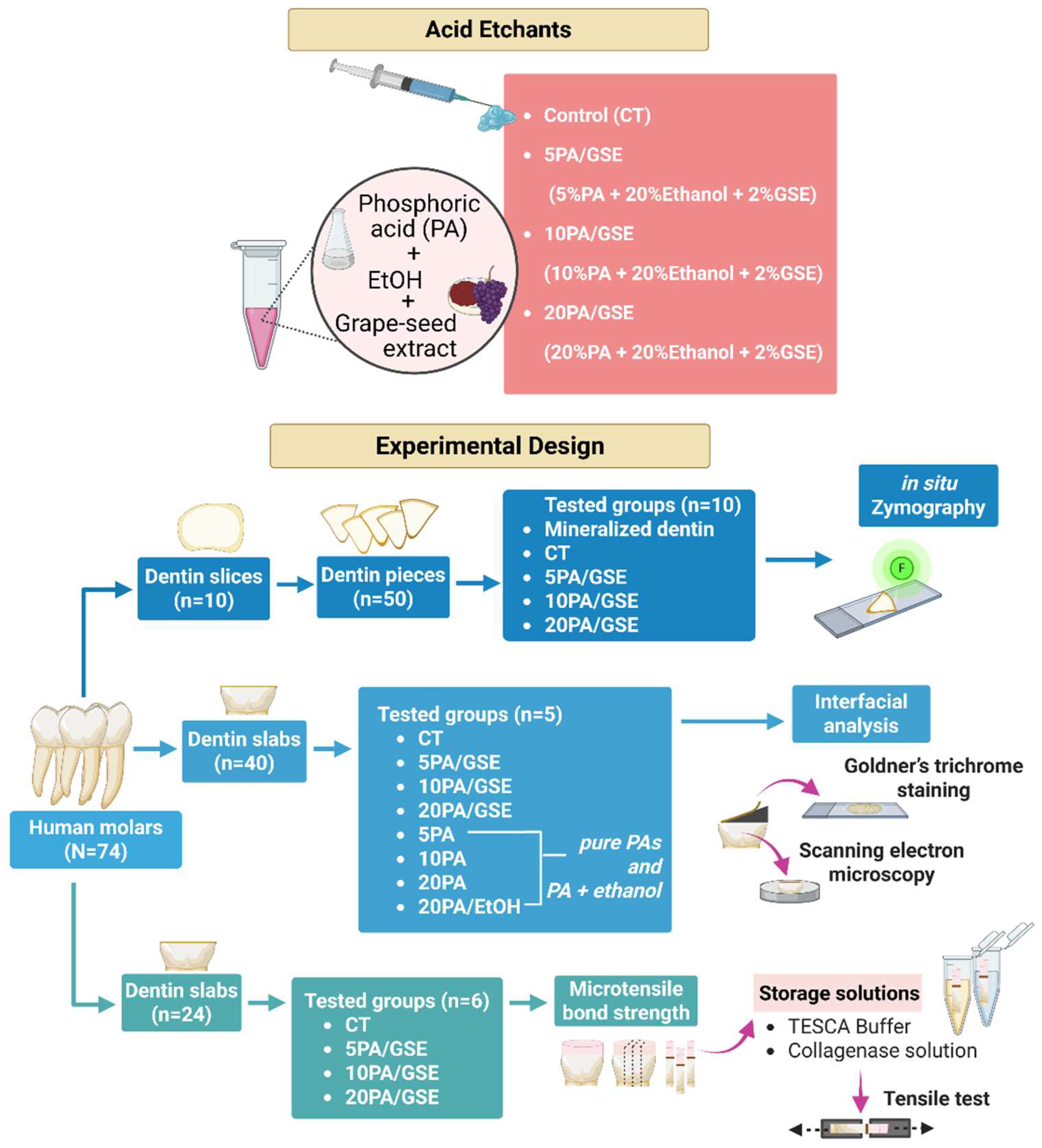 Materials 18 02416 g001