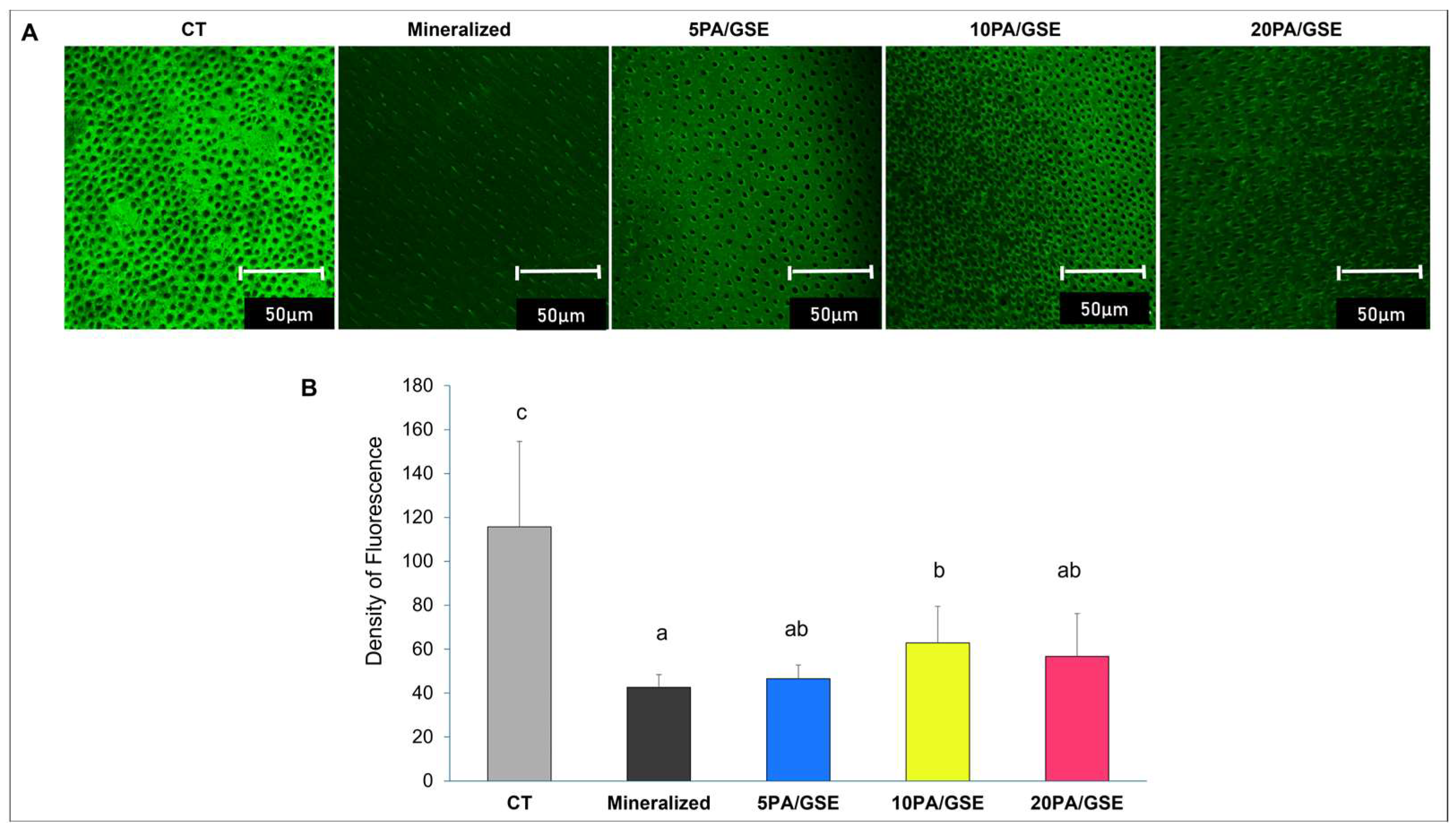Materials 18 02416 g002