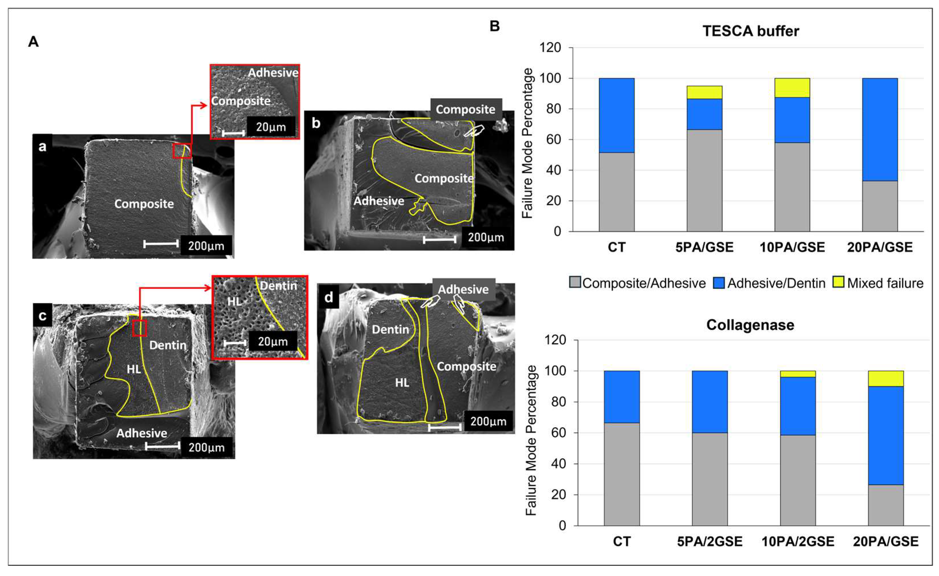 Materials 18 02416 g007