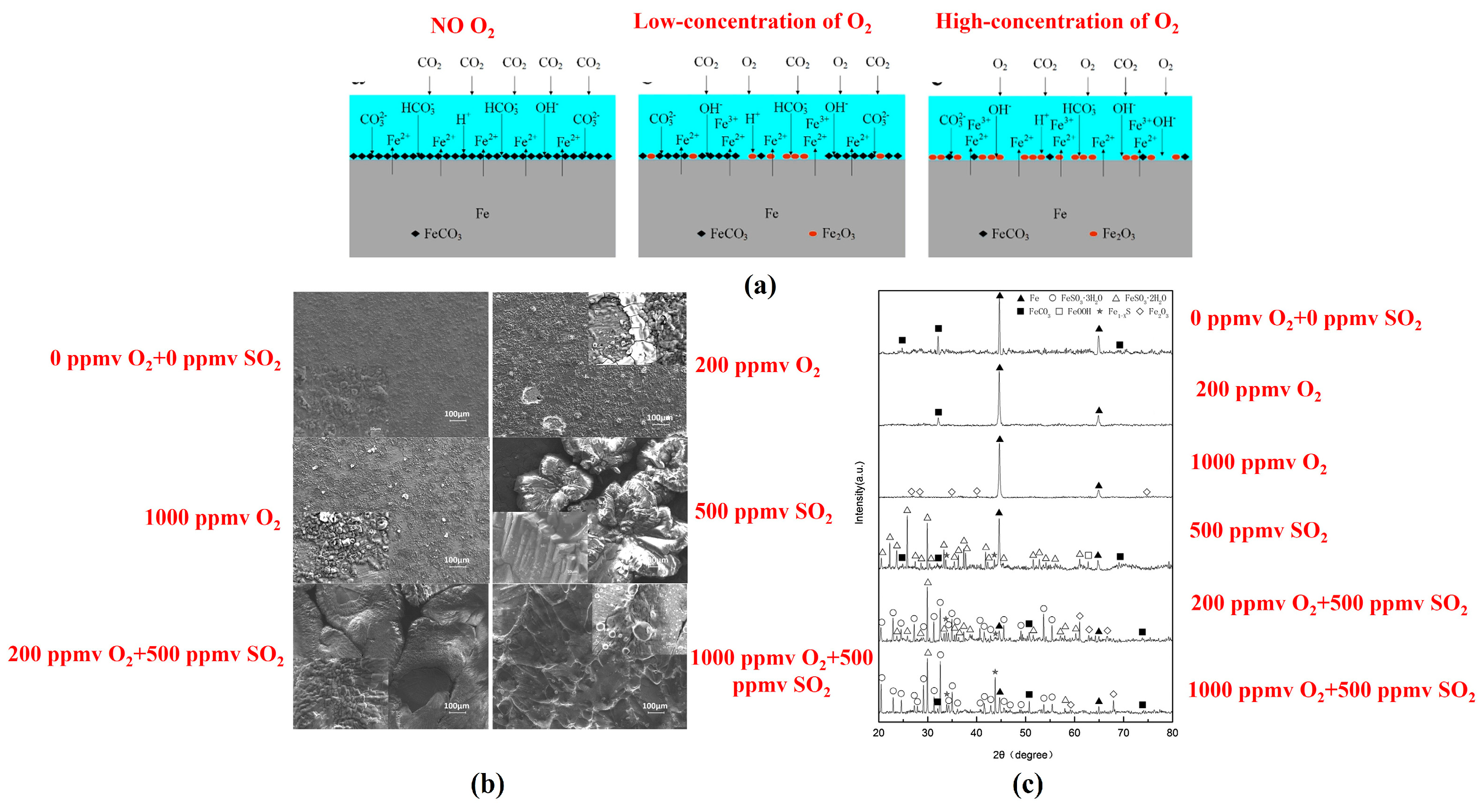 Materials 18 02424 g008