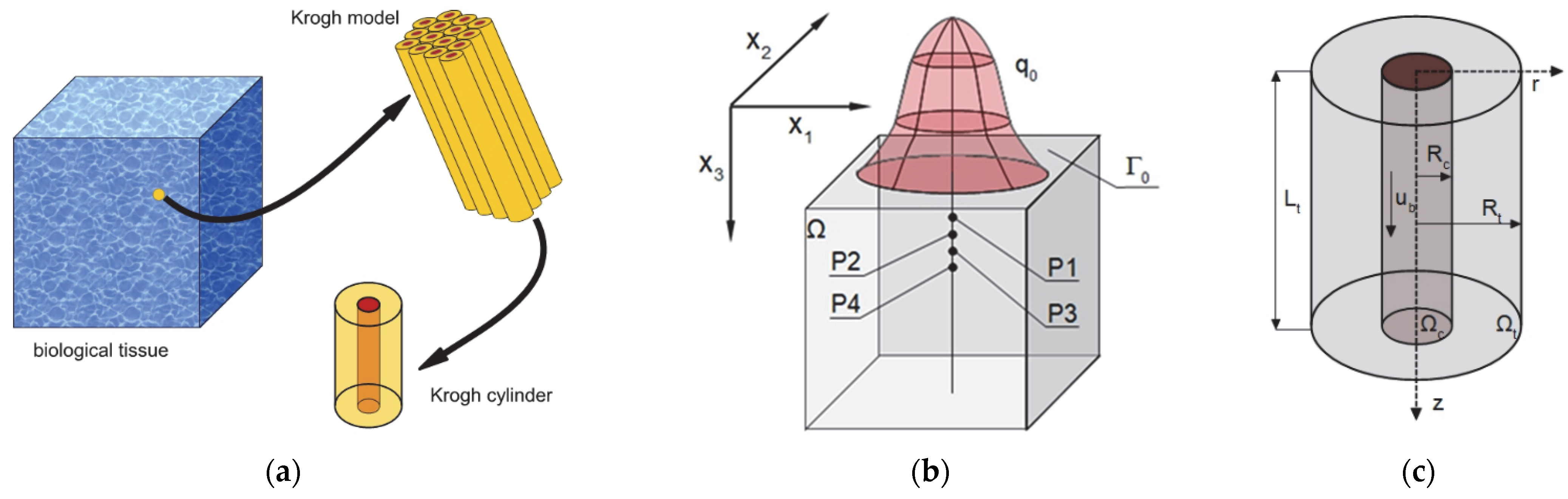 Materials 18 02425 g002