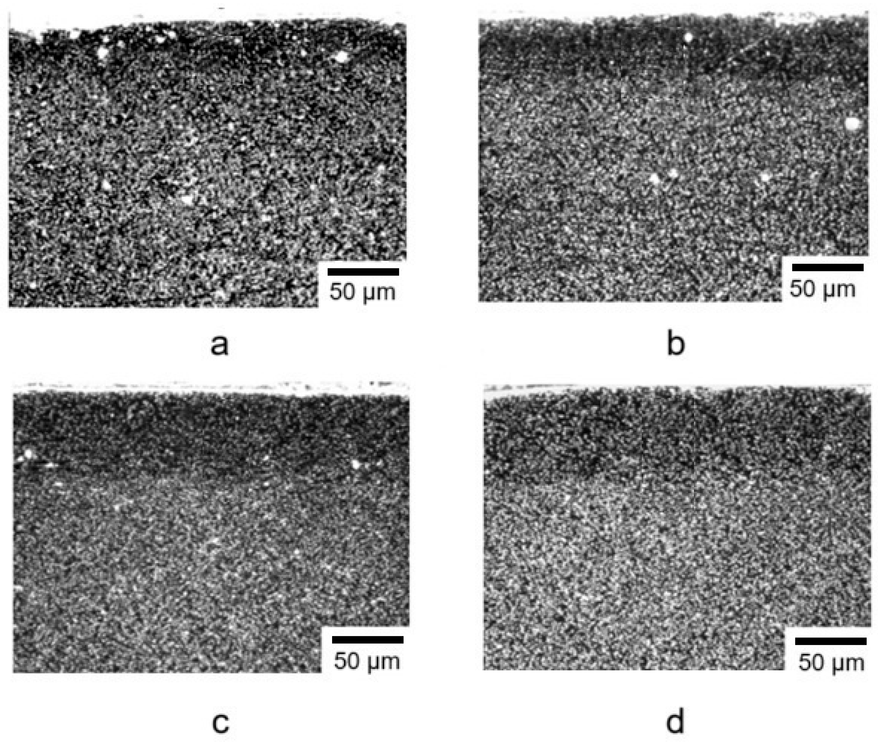 Materials 18 02434 g004