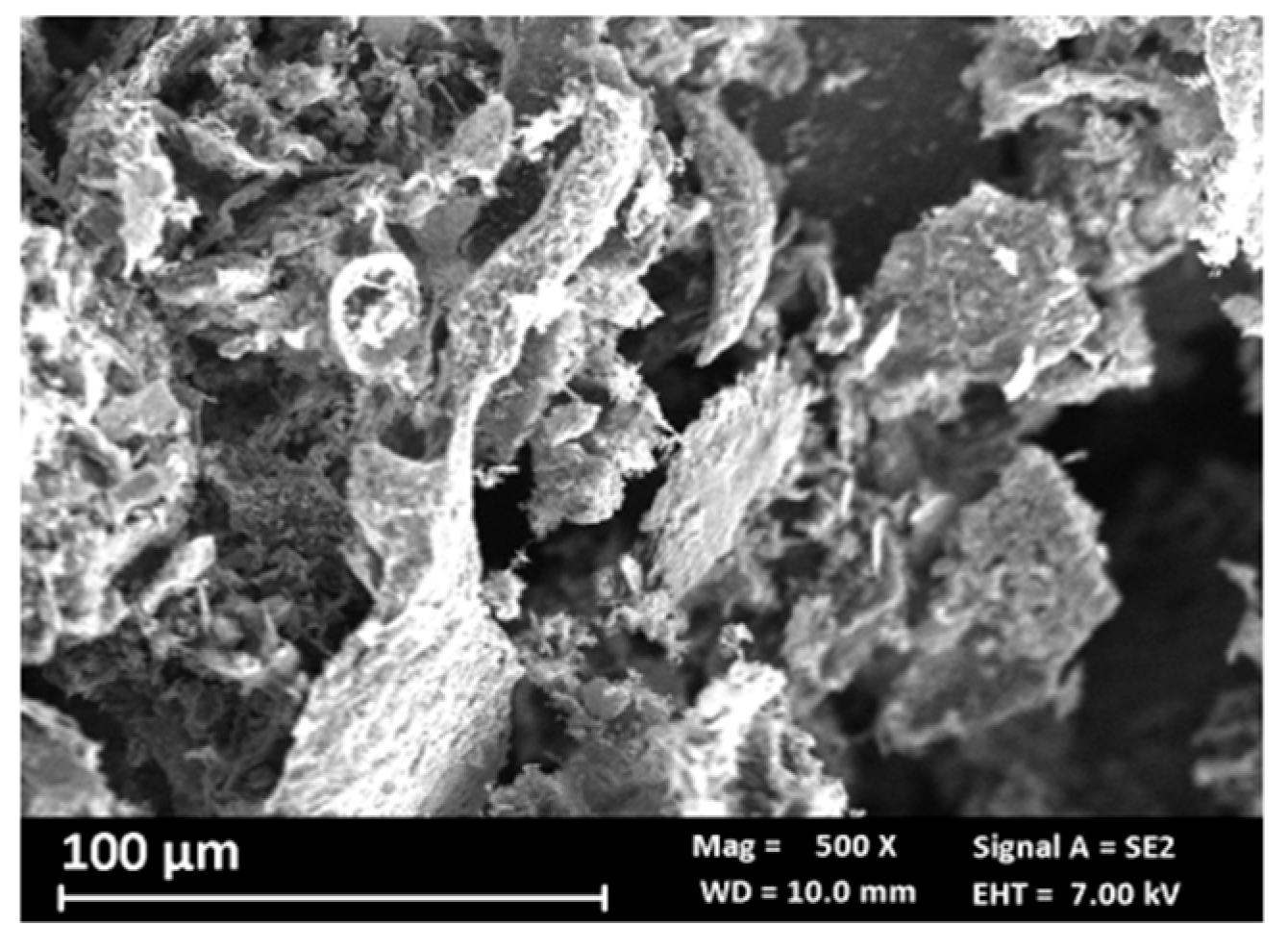 Materials 18 02440 g003