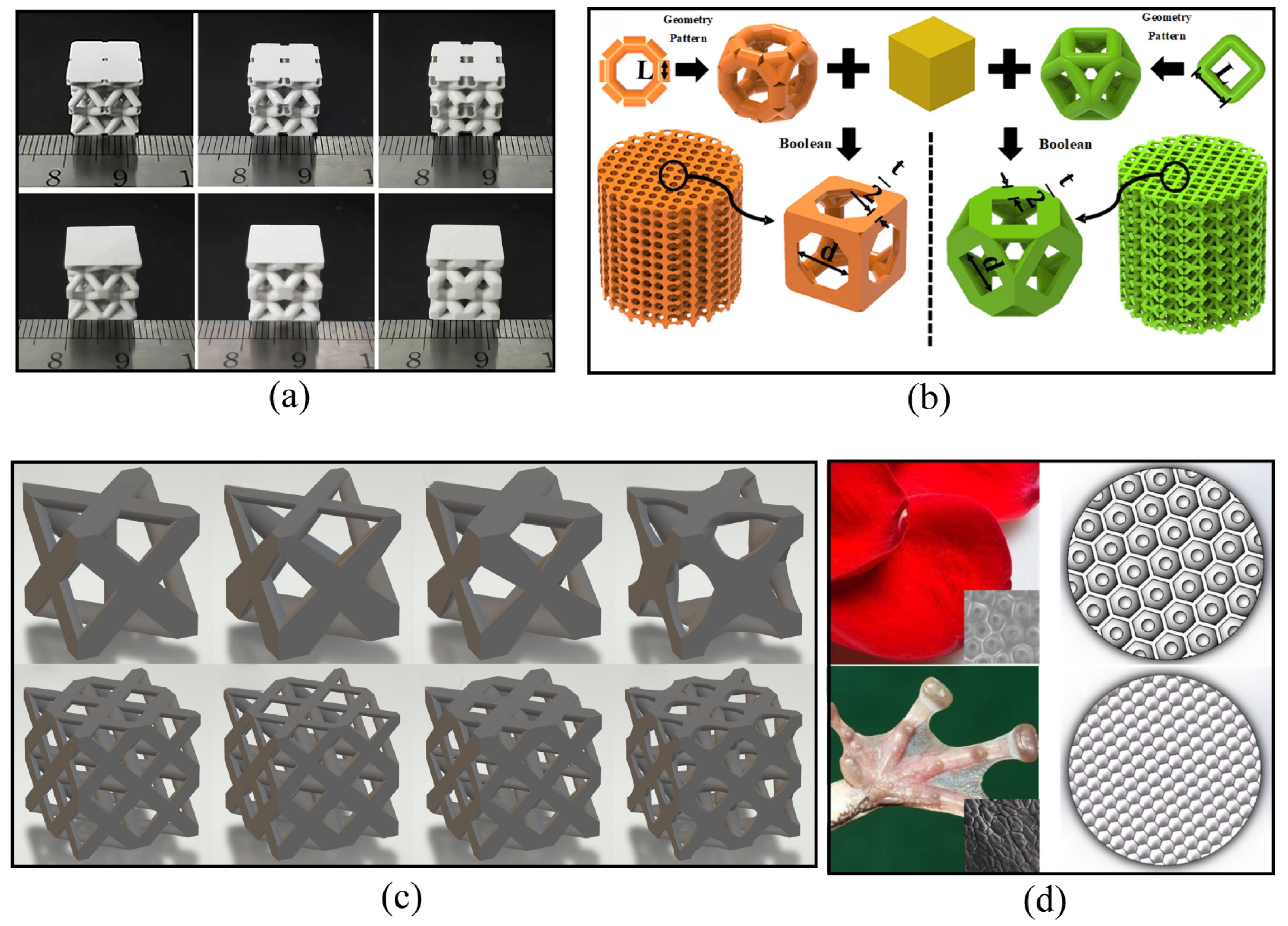 Materials 18 02445 g006