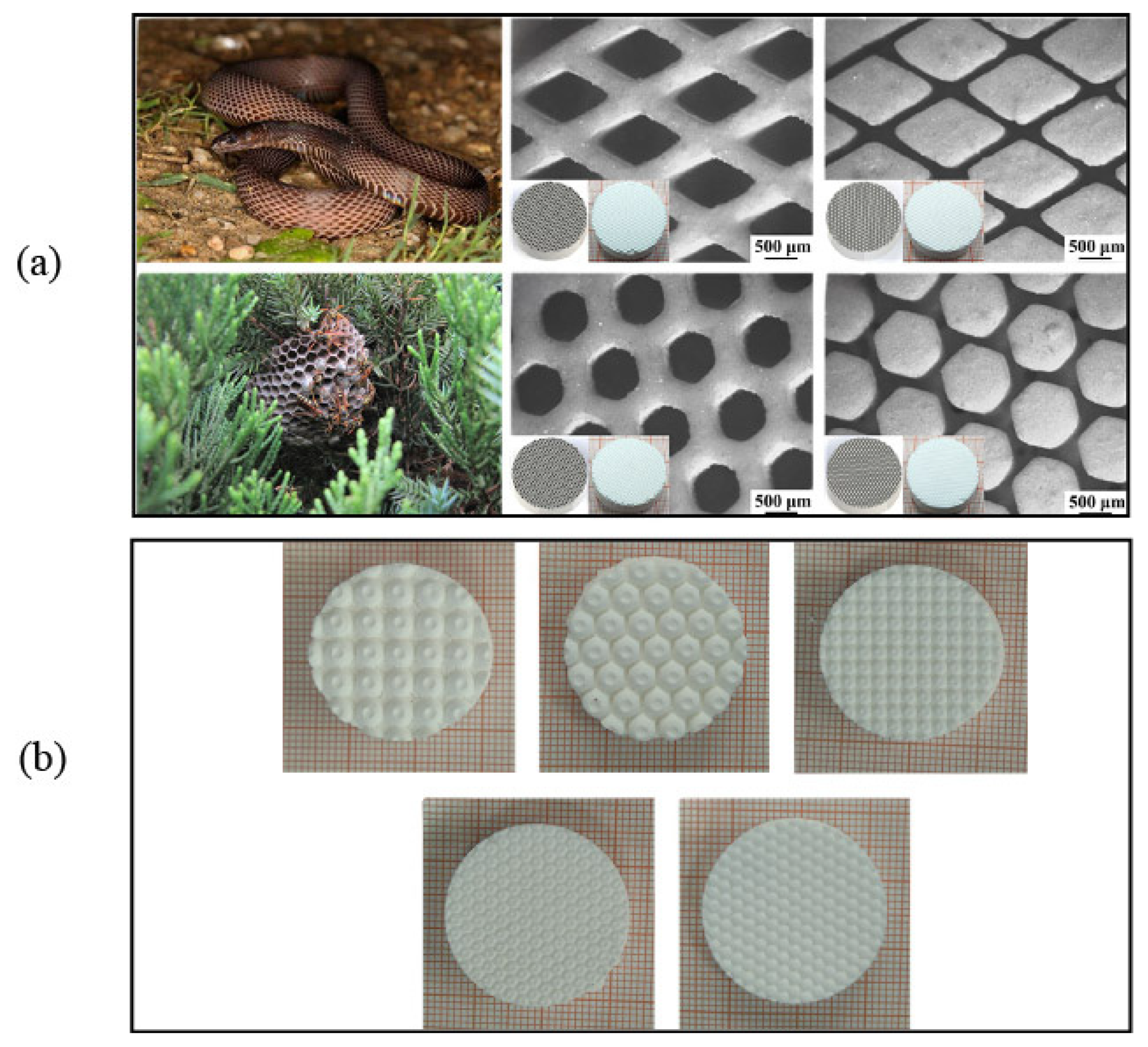 Materials 18 02445 g009