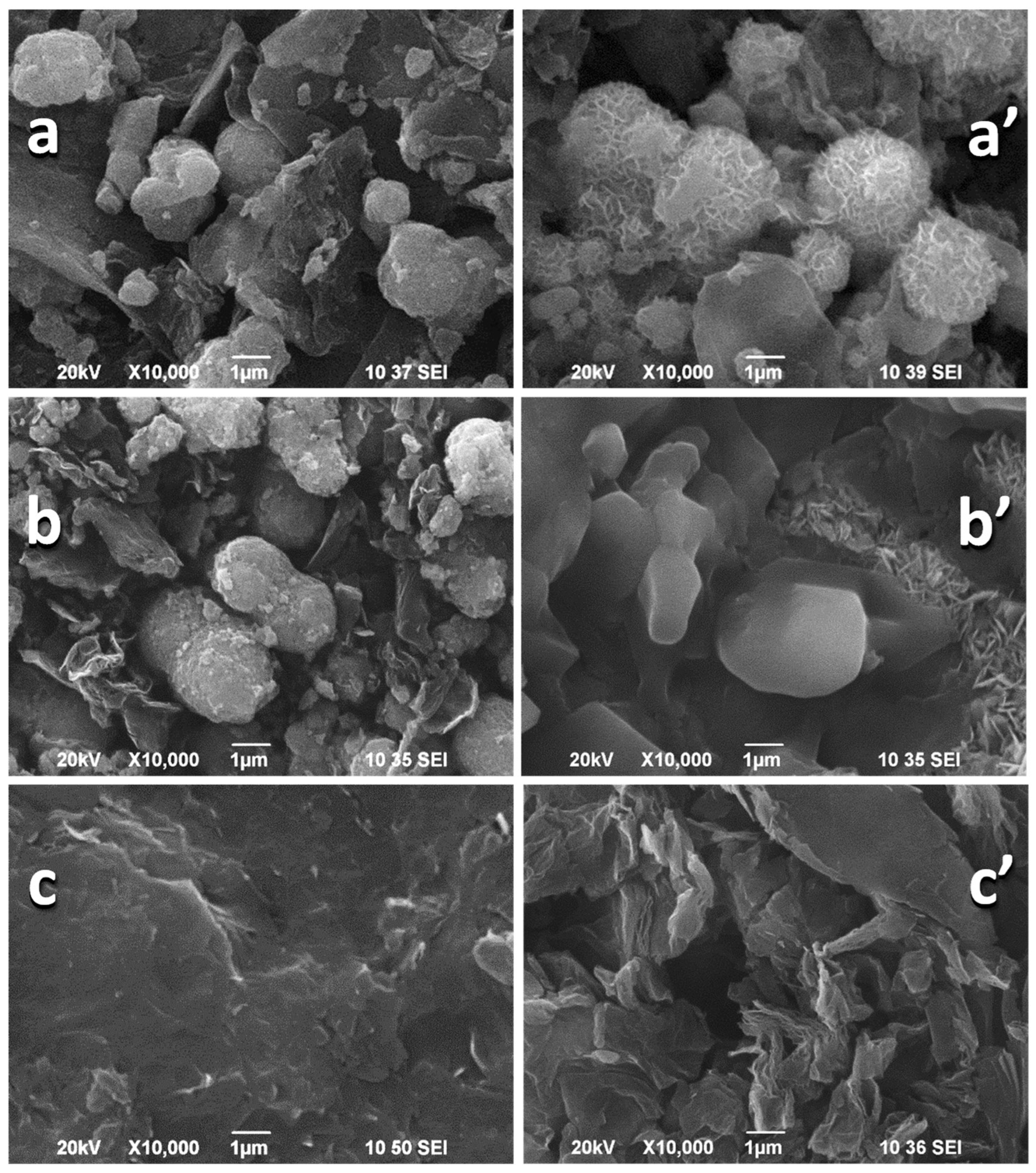 Materials 18 02460 g008