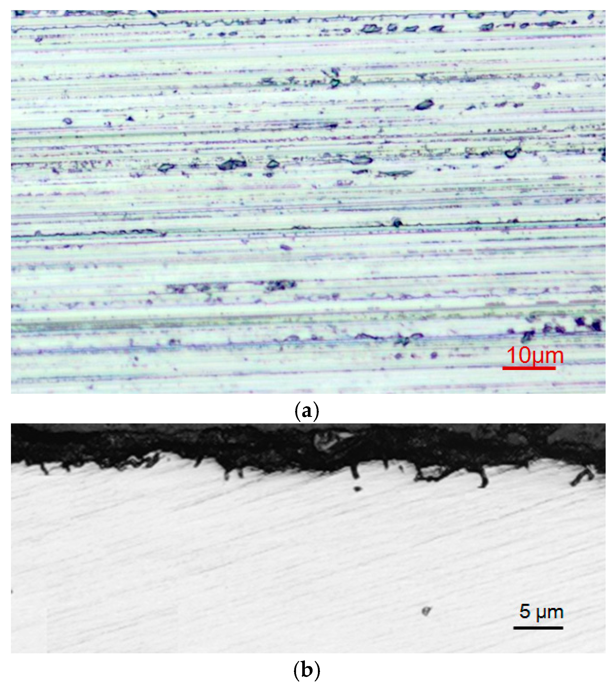 Materials 18 02461 g007