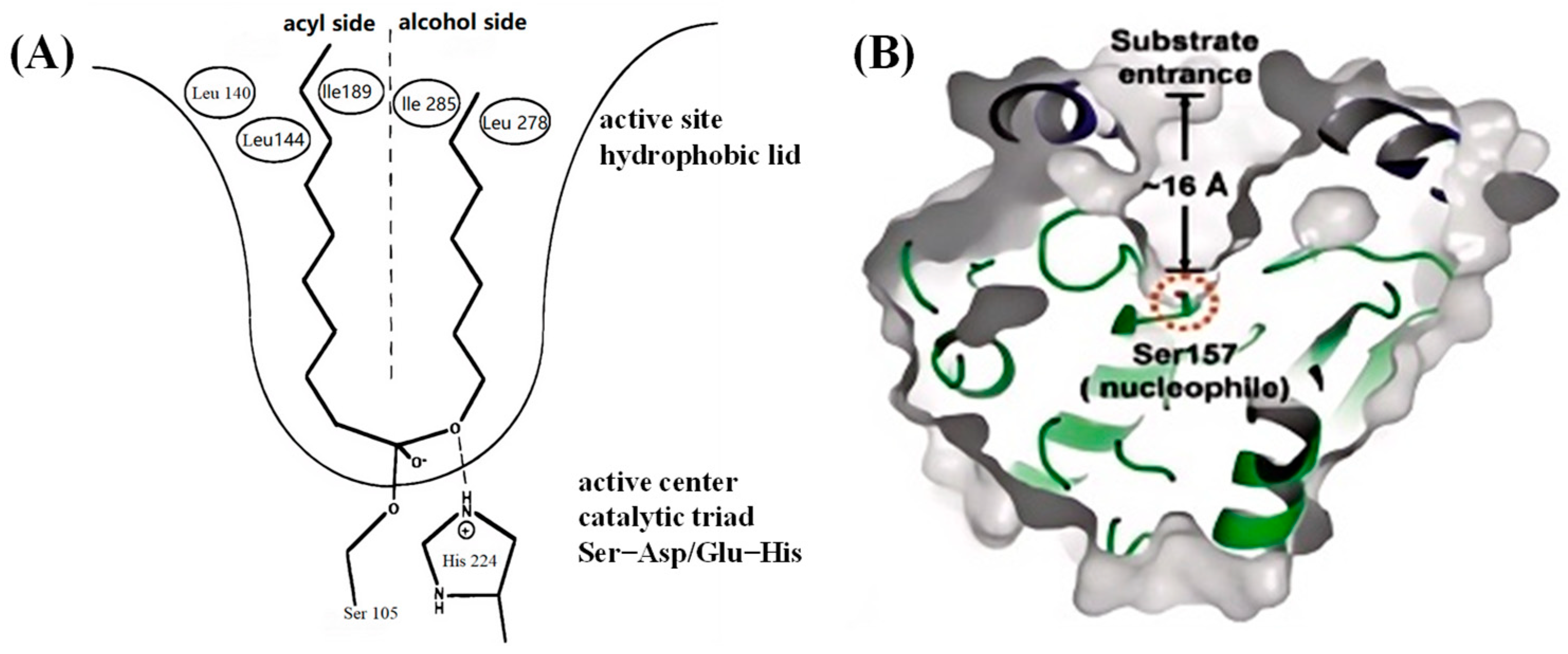 Materials 18 02476 g003