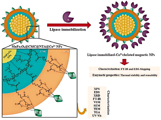 DSとソフト A polyoxometalate-based multifunctional hydrogel for
