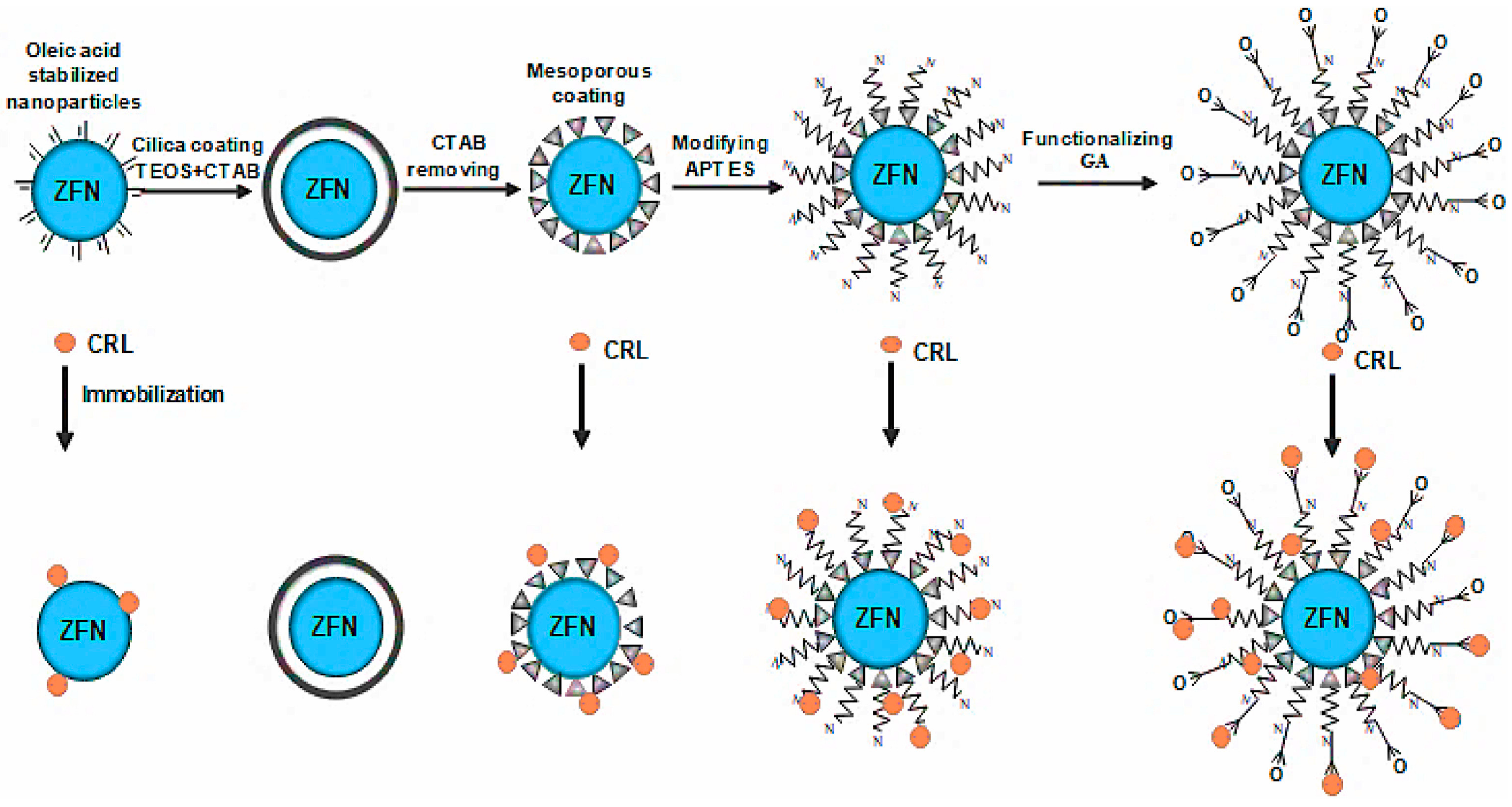 Materials 18 02476 g007