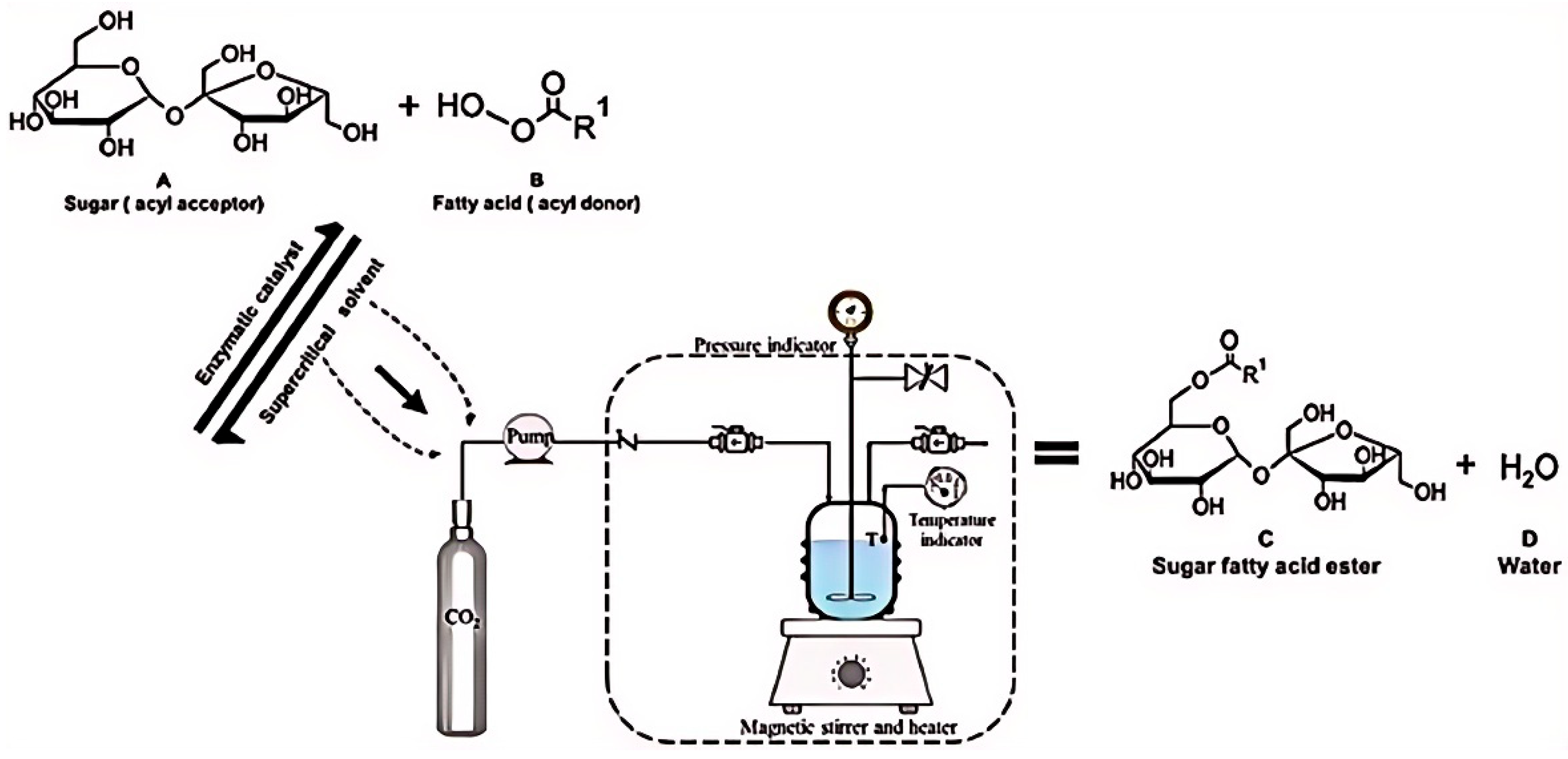 Materials 18 02476 g012