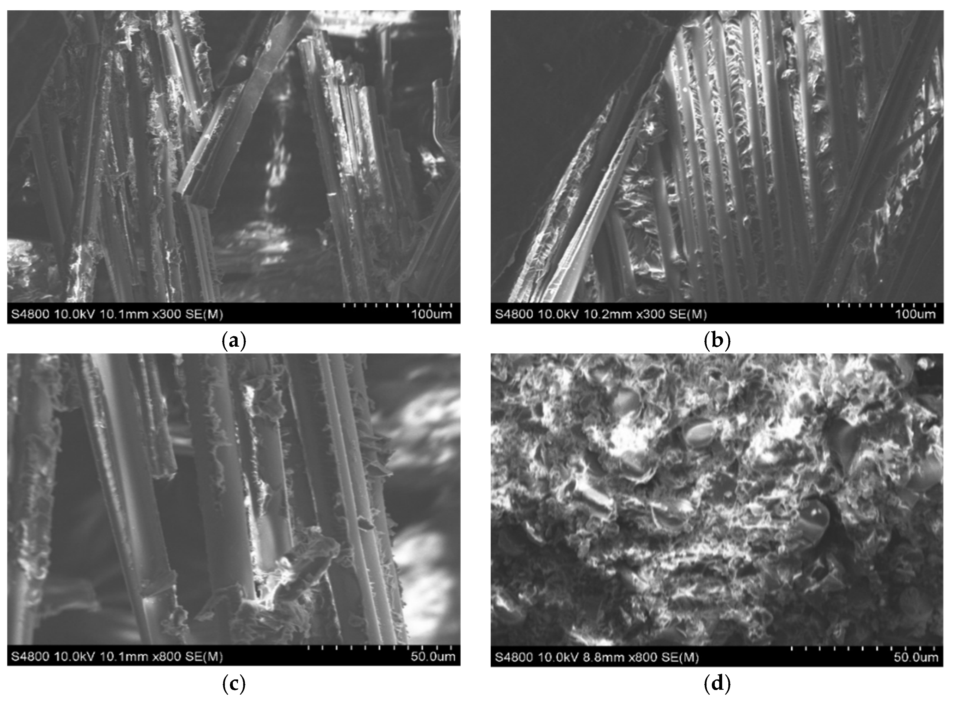 Materials 18 02485 g019