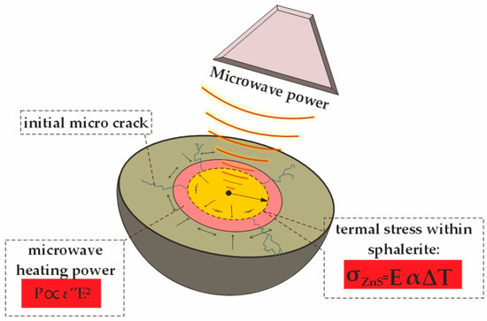 Microwave Pre-Treatment for Efficient Zinc Recovery via Acid