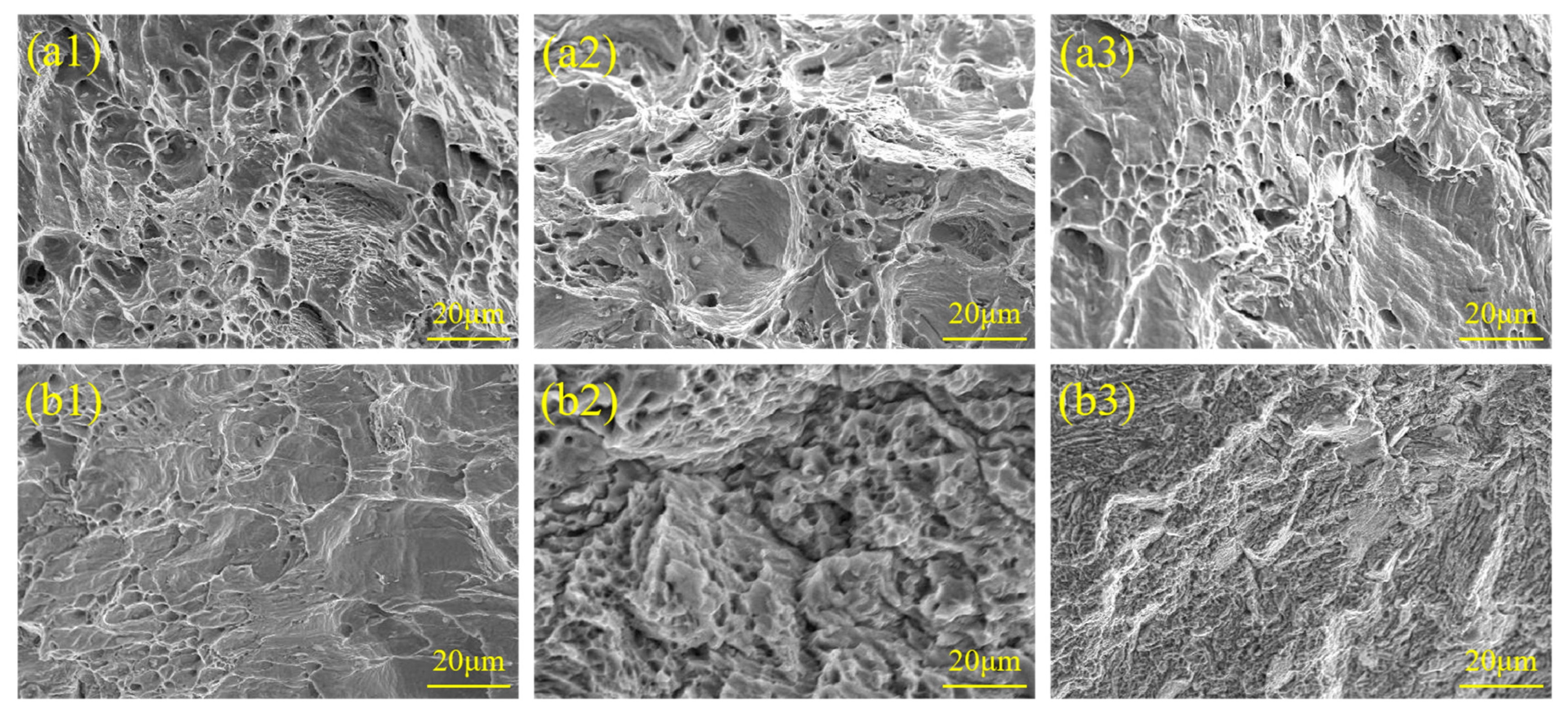 Materials 18 02497 g008