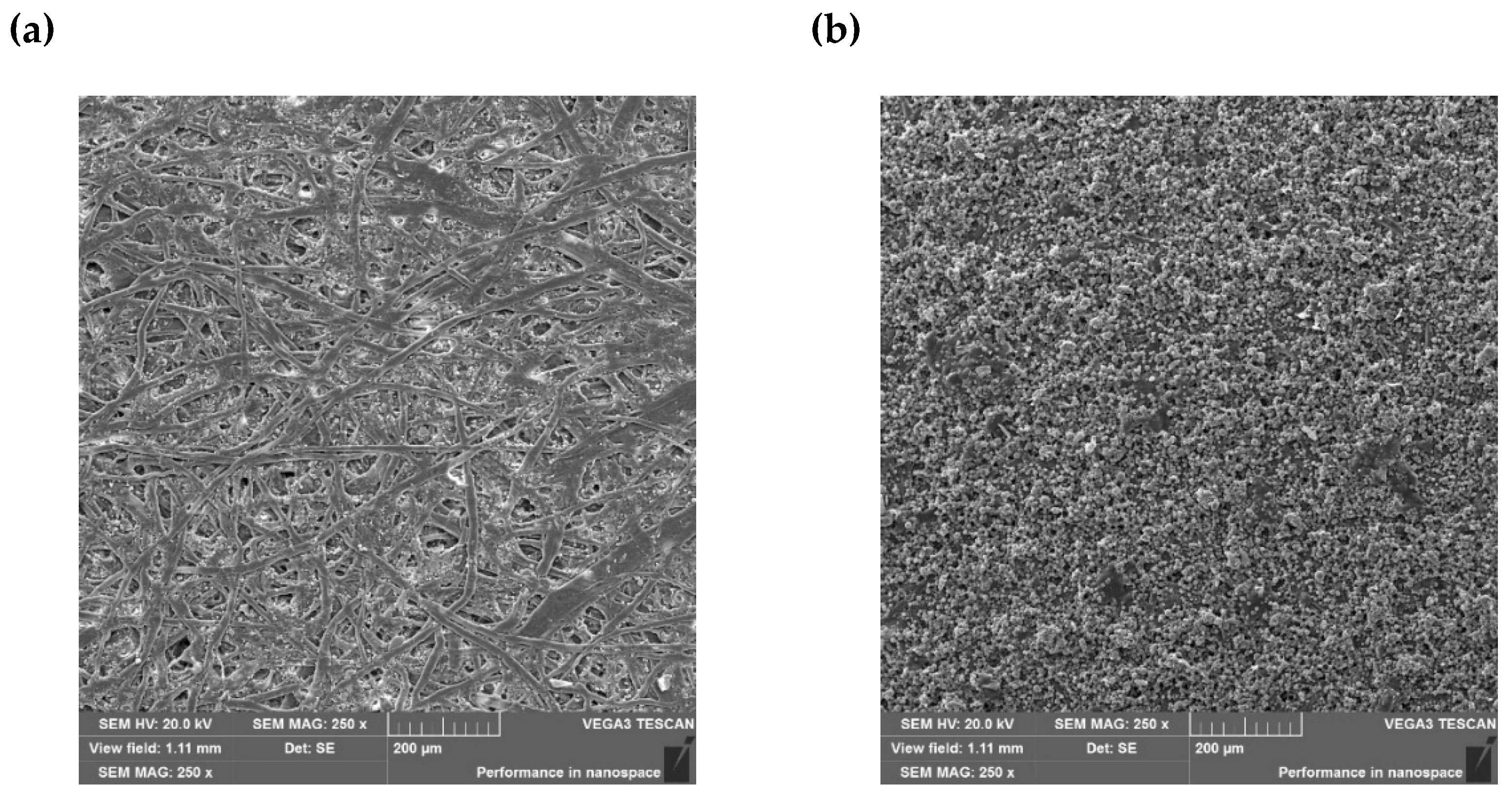 Materials 18 02501 g003a