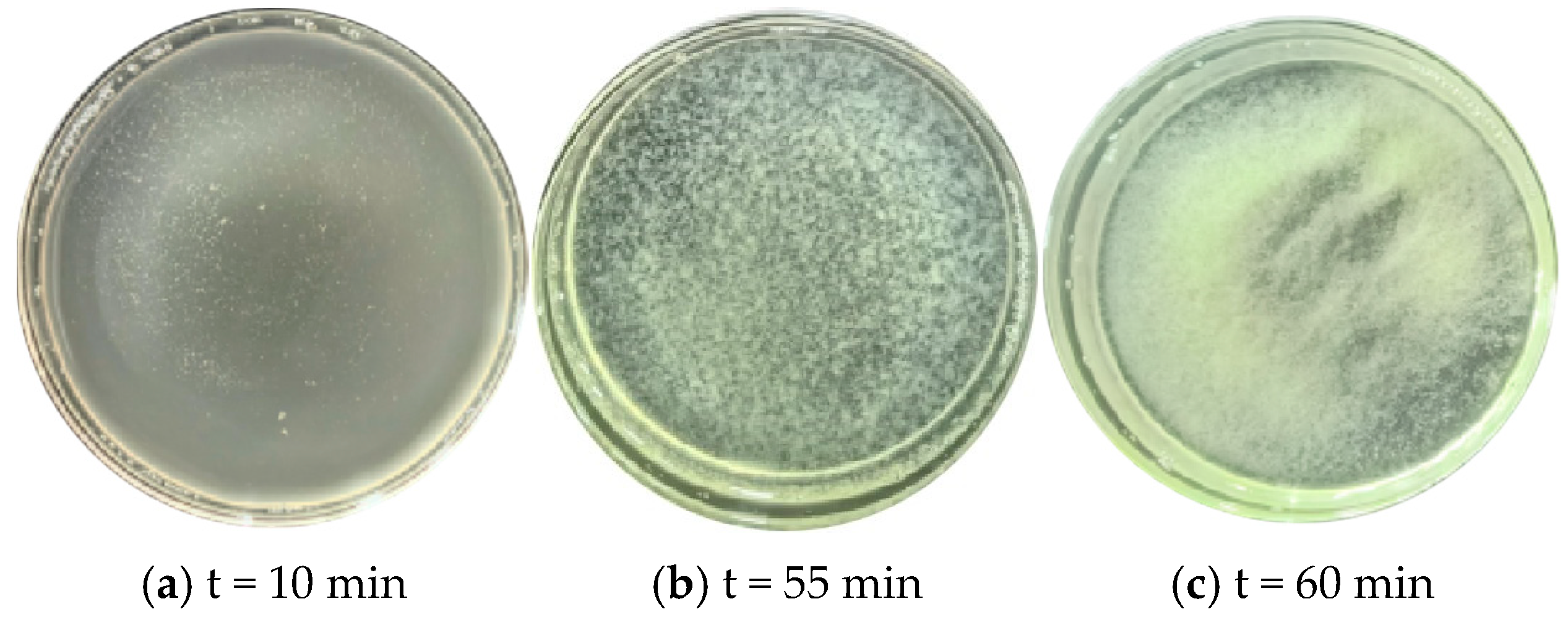 Materials 18 02514 g006