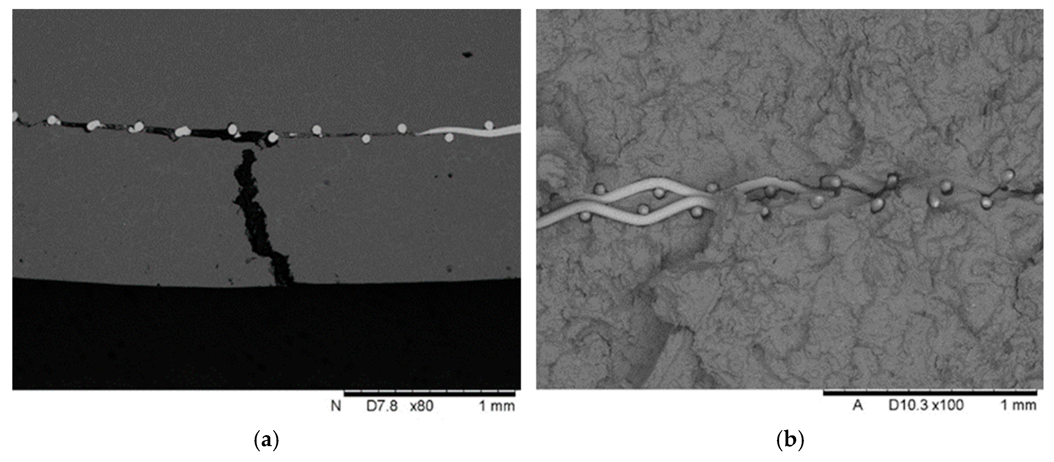 Materials 18 02517 g004