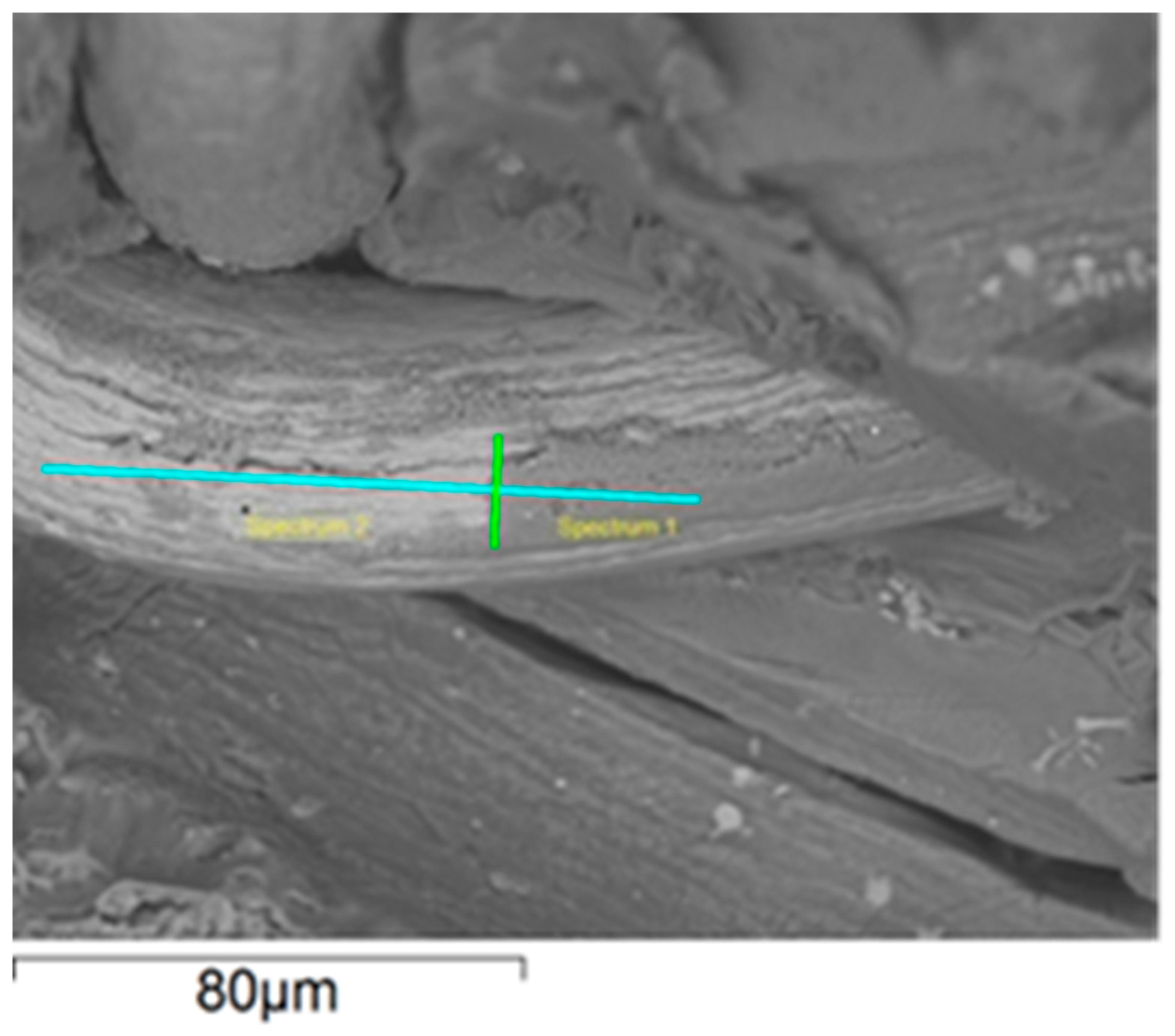 Materials 18 02517 g006