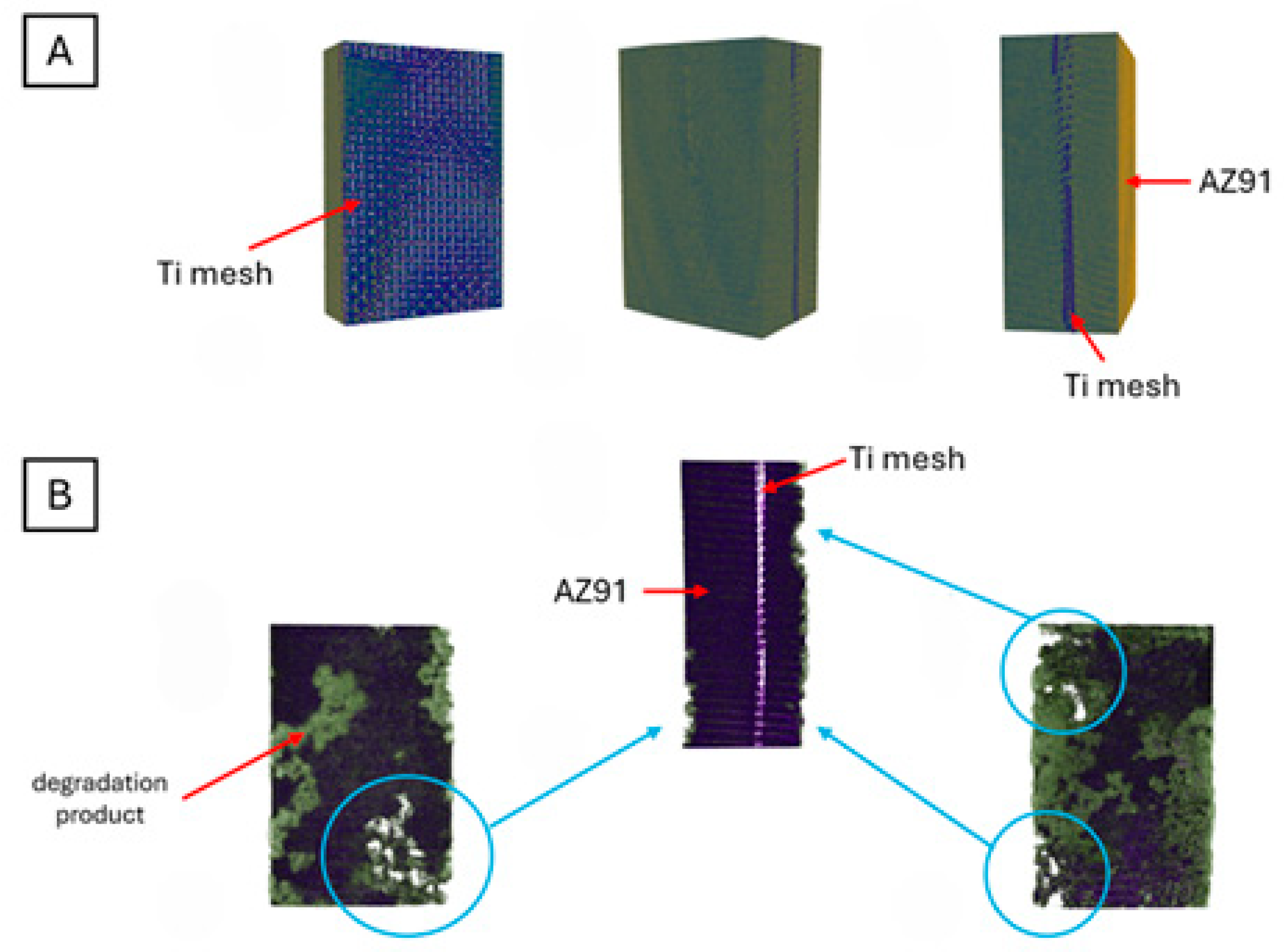 Materials 18 02517 g013