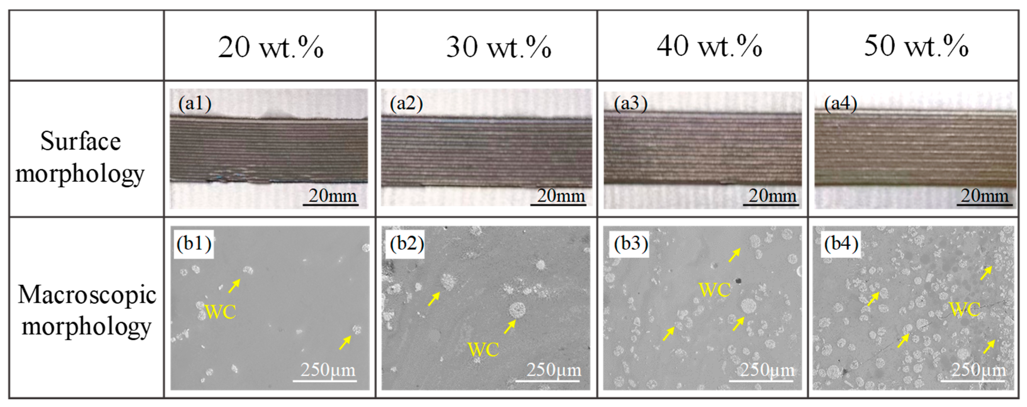 Materials 18 02521 g001