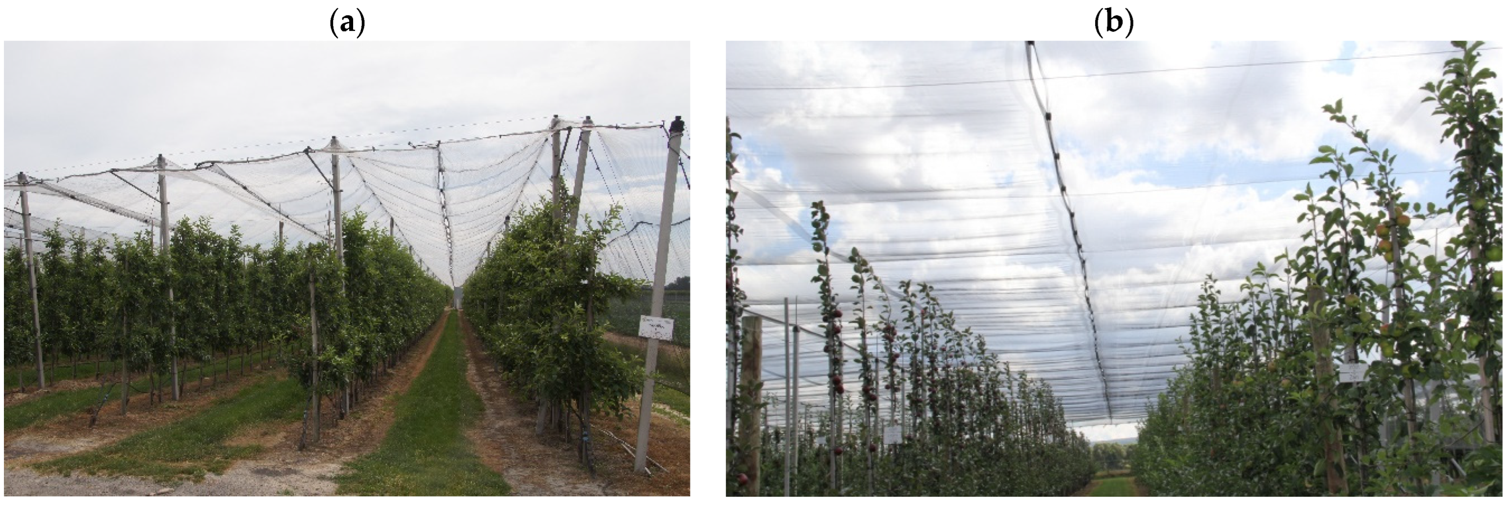 Materials 18 02525 g001