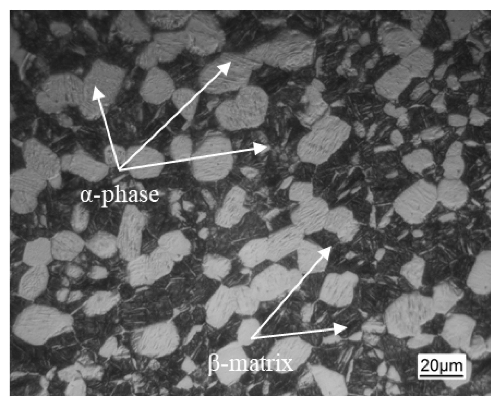 Materials 18 02528 g002