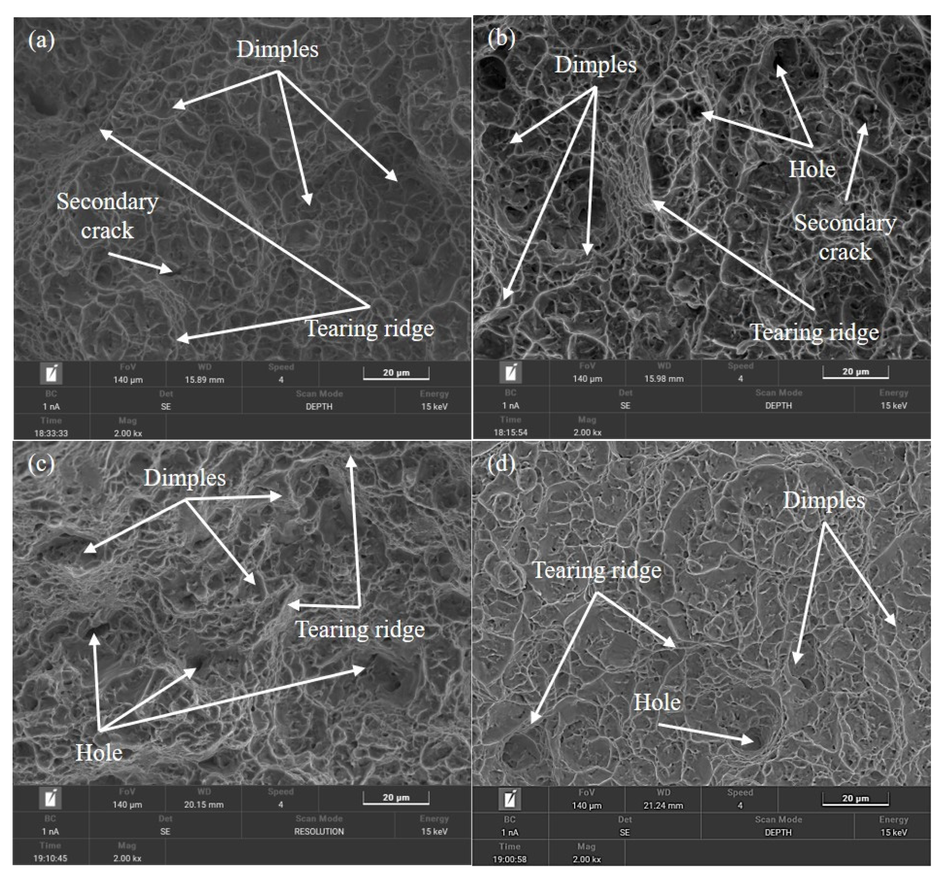Materials 18 02528 g017