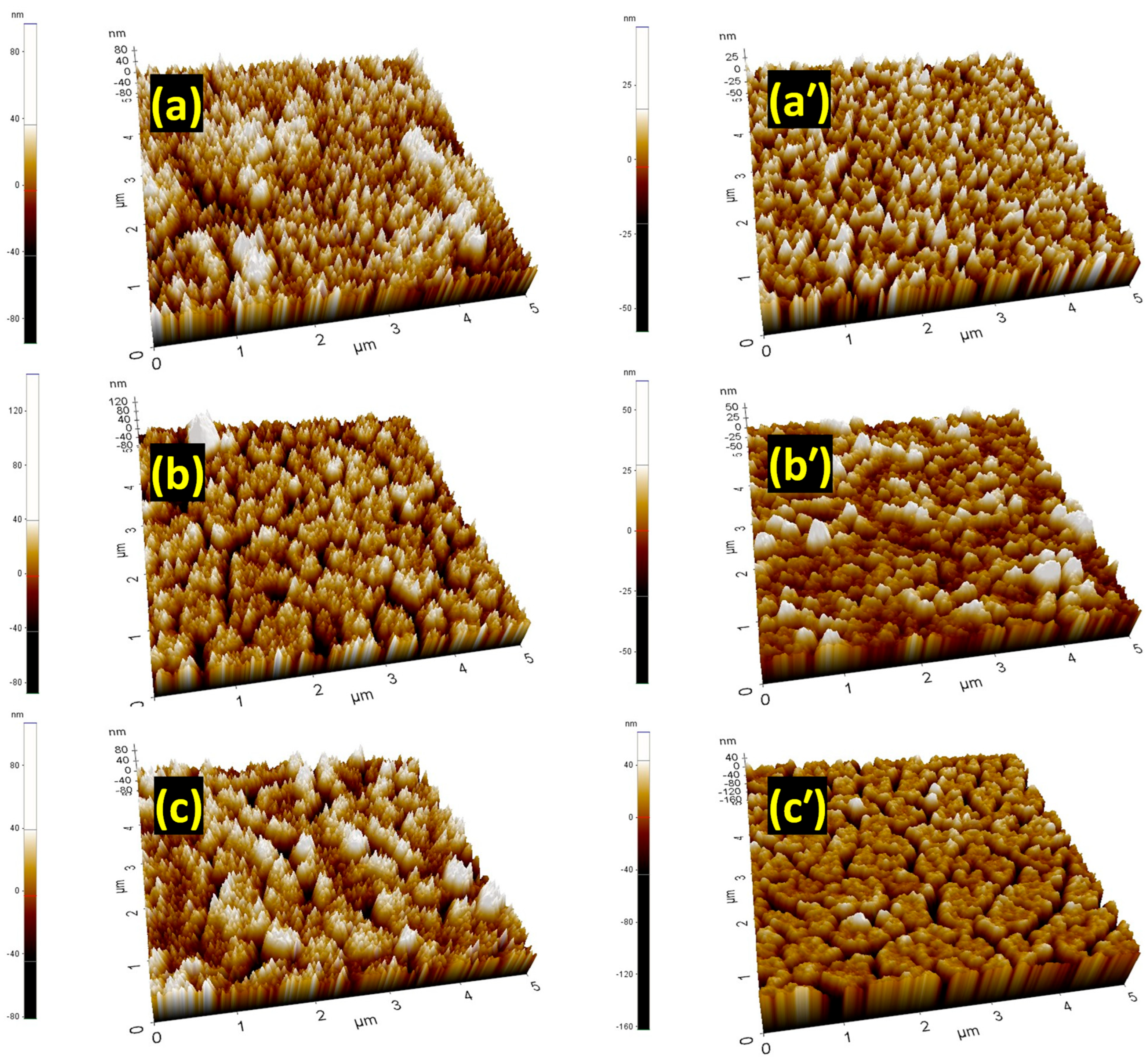 Materials 18 02534 g002