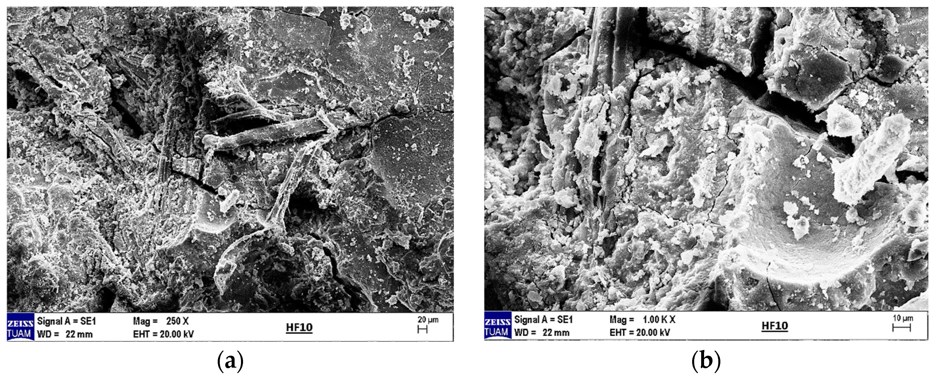 Materials 18 02536 g023