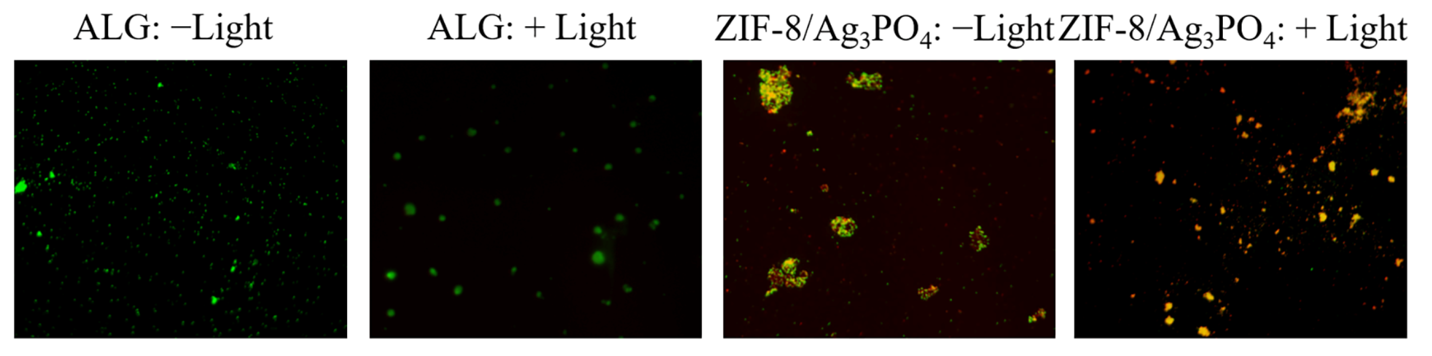 Materials 18 02544 g008