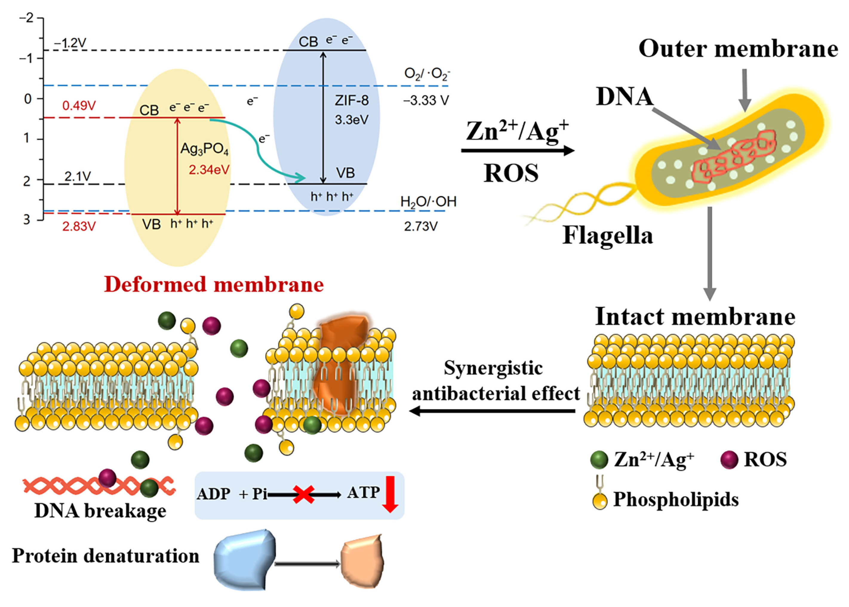 Materials 18 02544 g011
