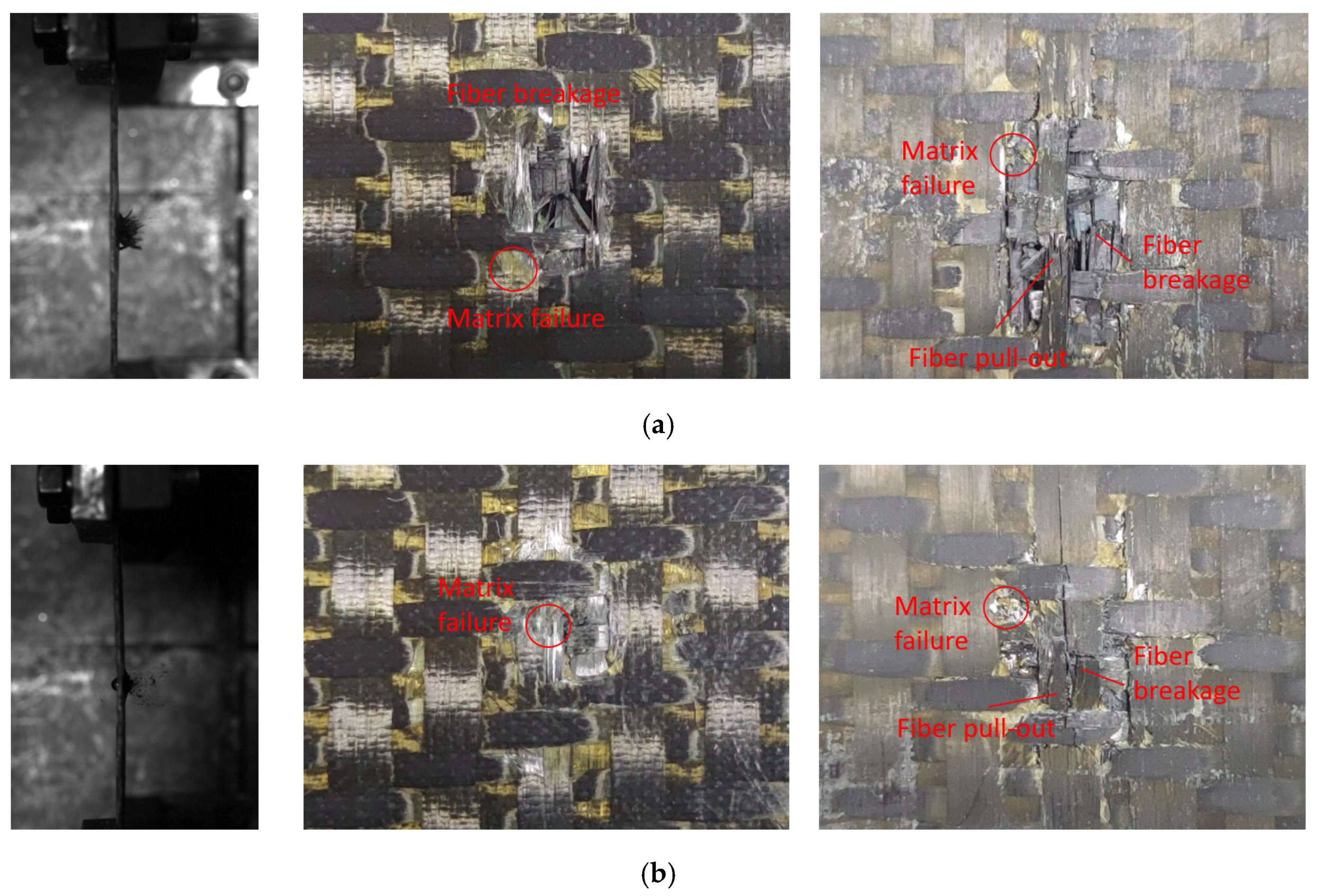 Materials 18 02545 g008