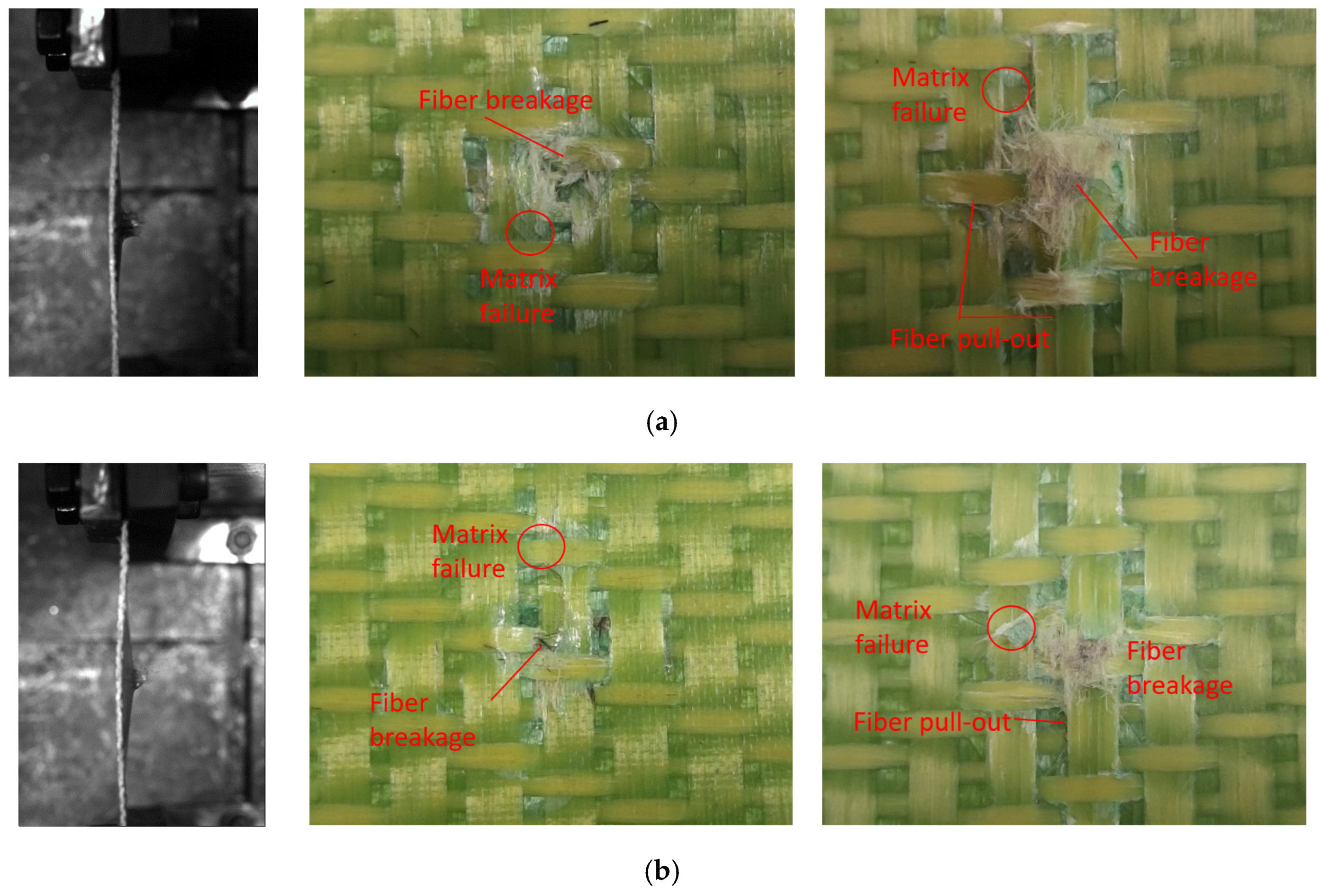 Materials 18 02545 g009