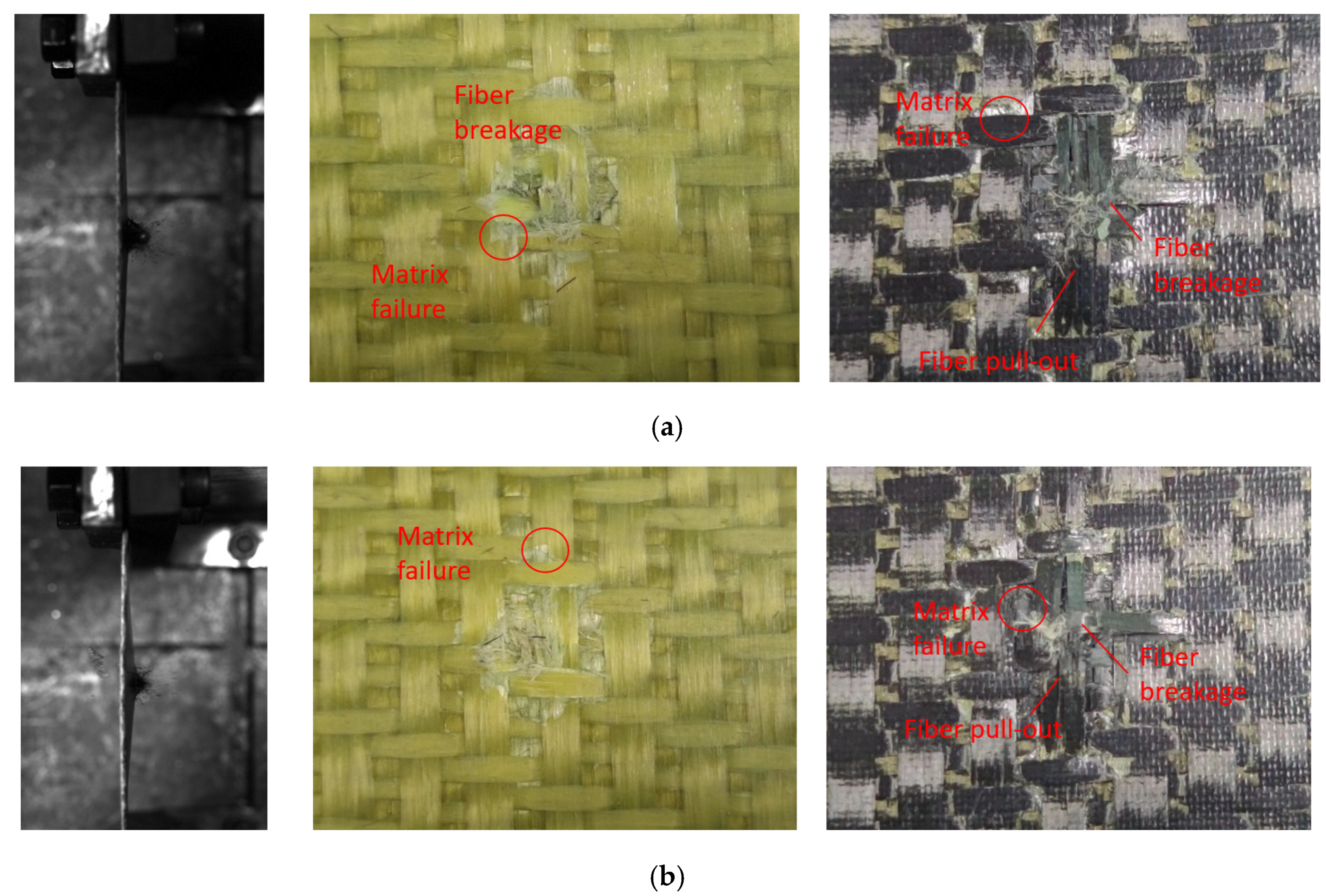 Materials 18 02545 g010