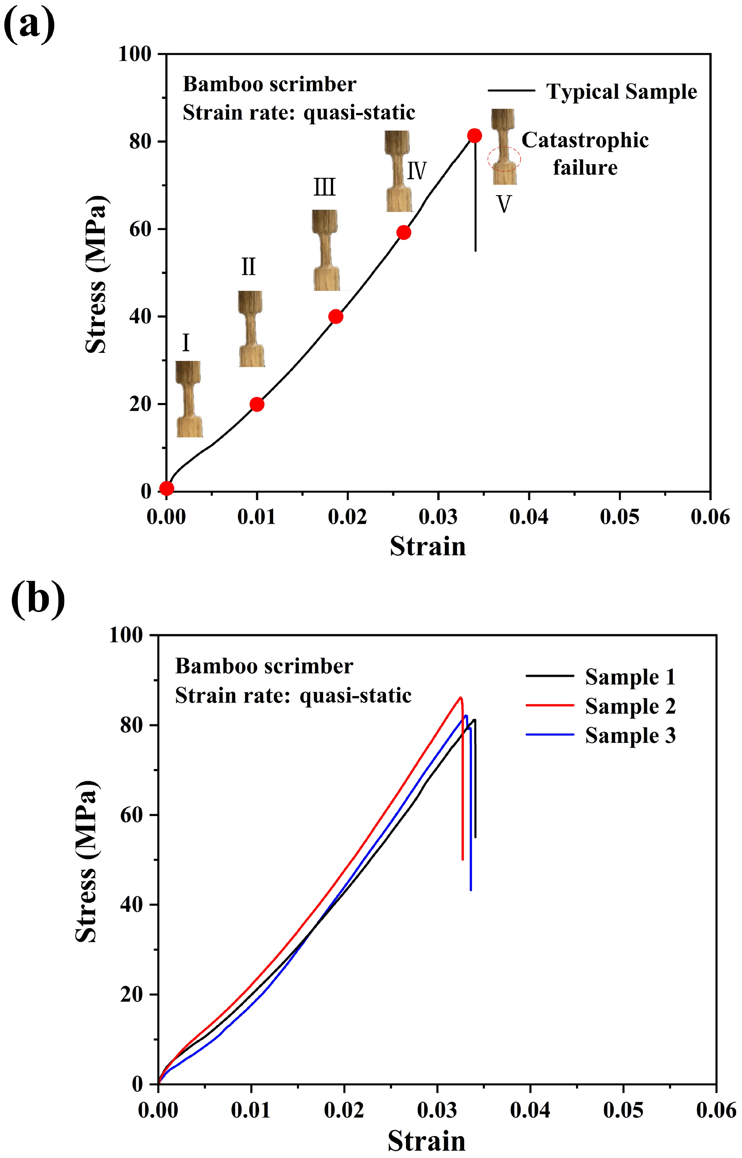 Materials 18 02550 g005