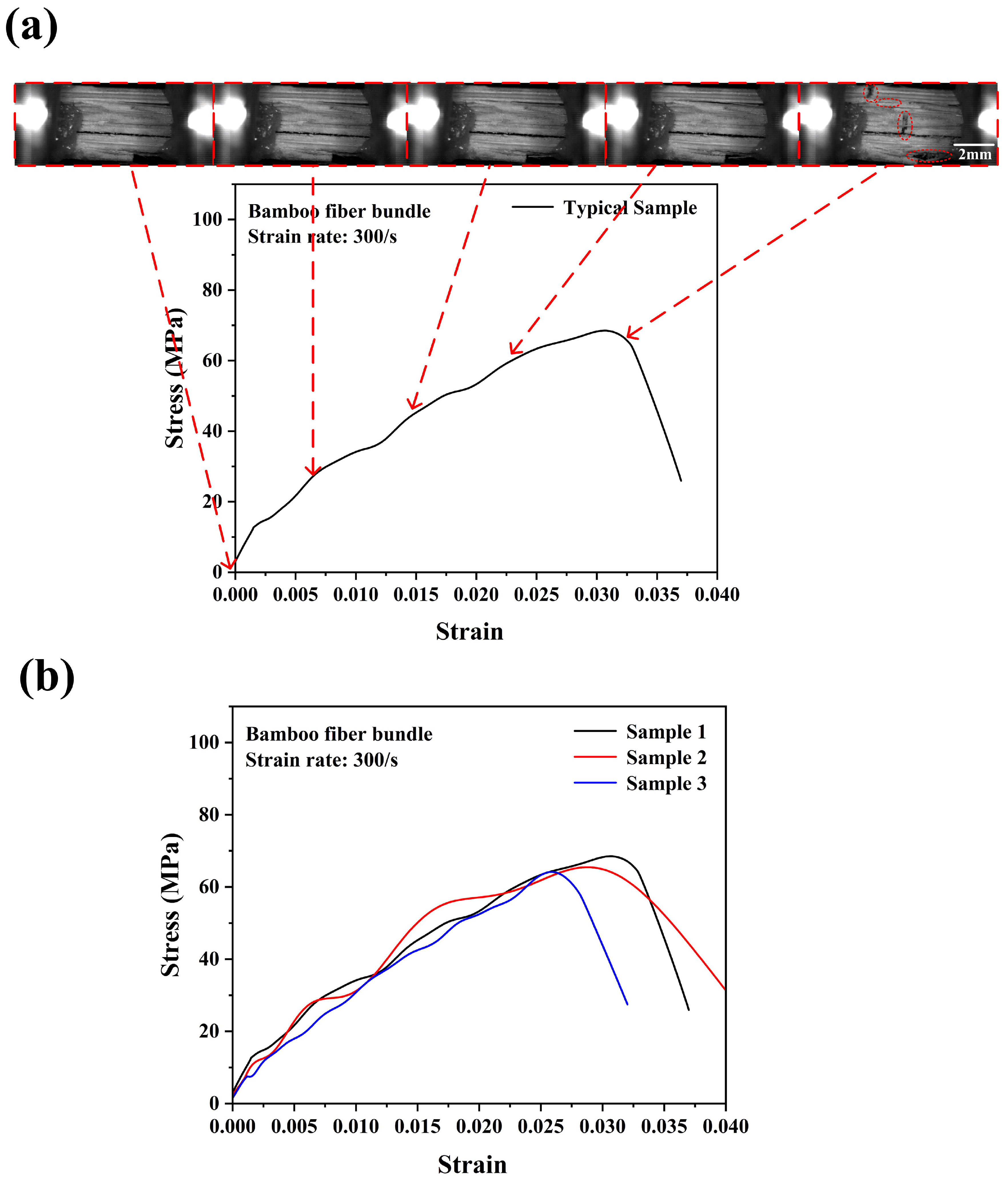 Materials 18 02550 g007