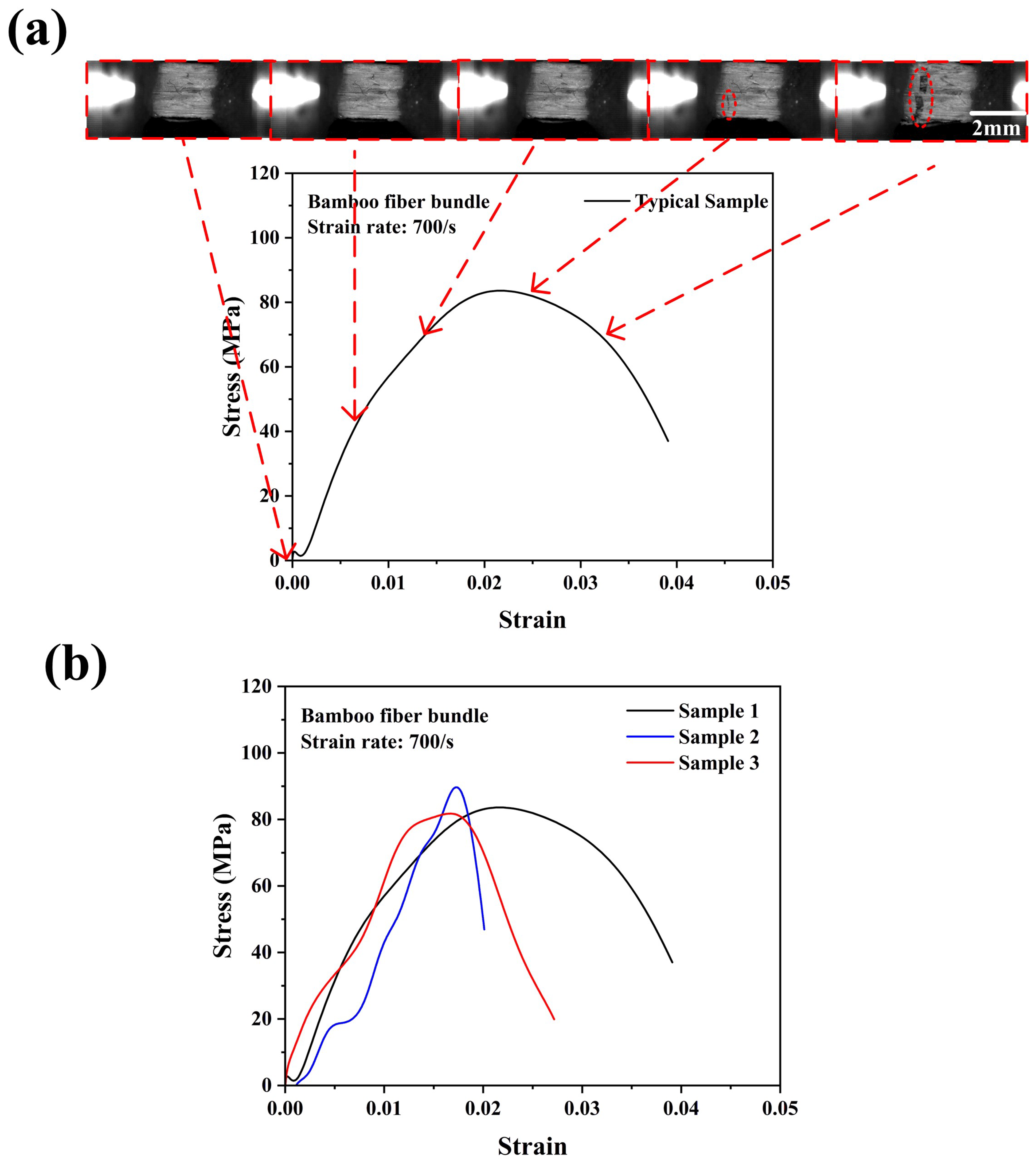 Materials 18 02550 g008