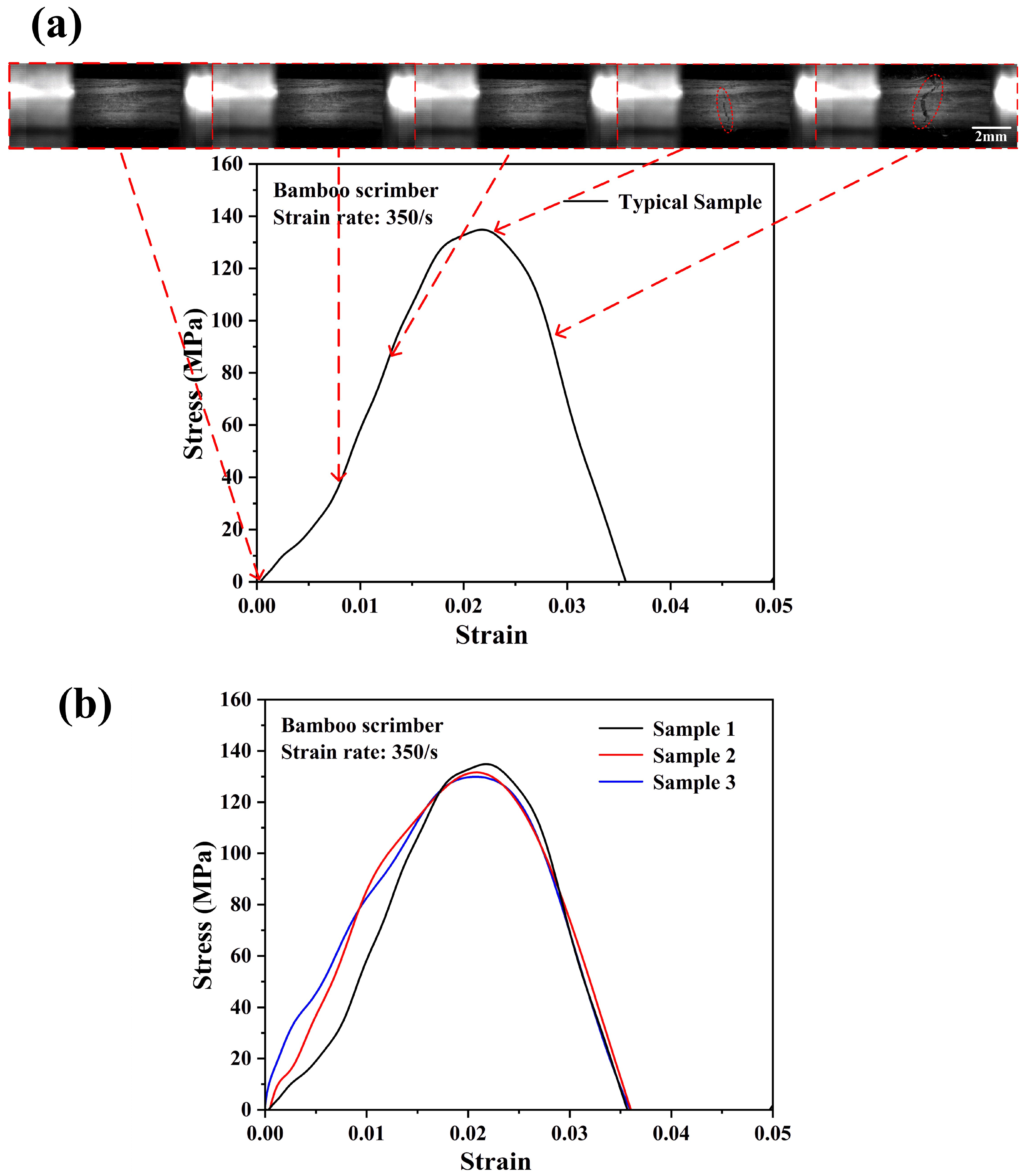 Materials 18 02550 g010
