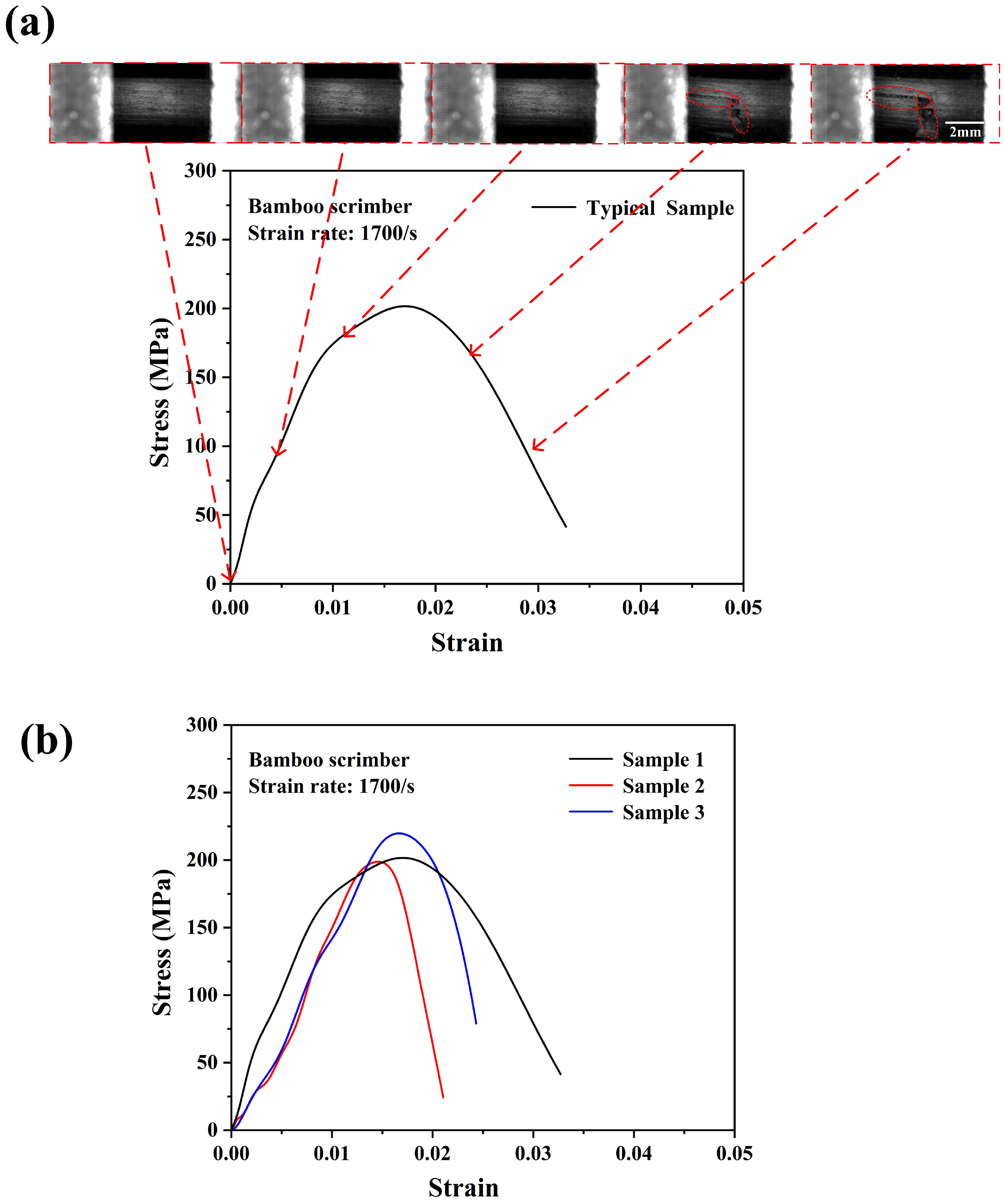 Materials 18 02550 g012