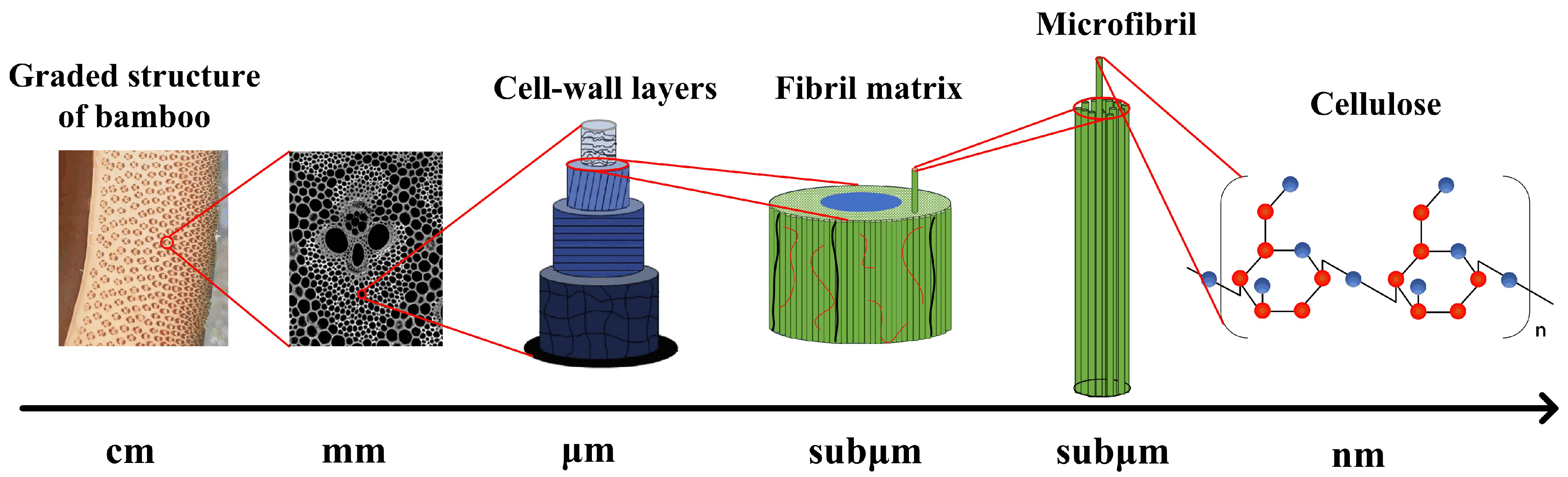 Materials 18 02550 g014