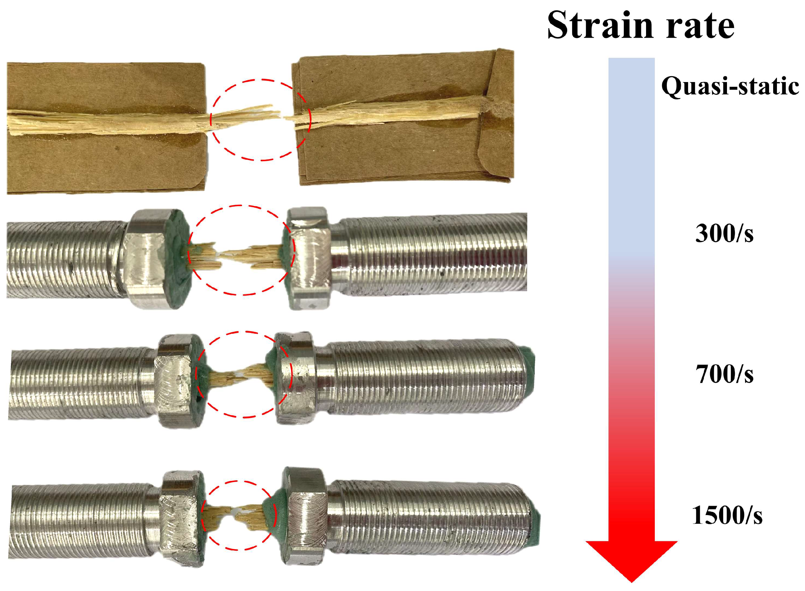 Materials 18 02550 g015