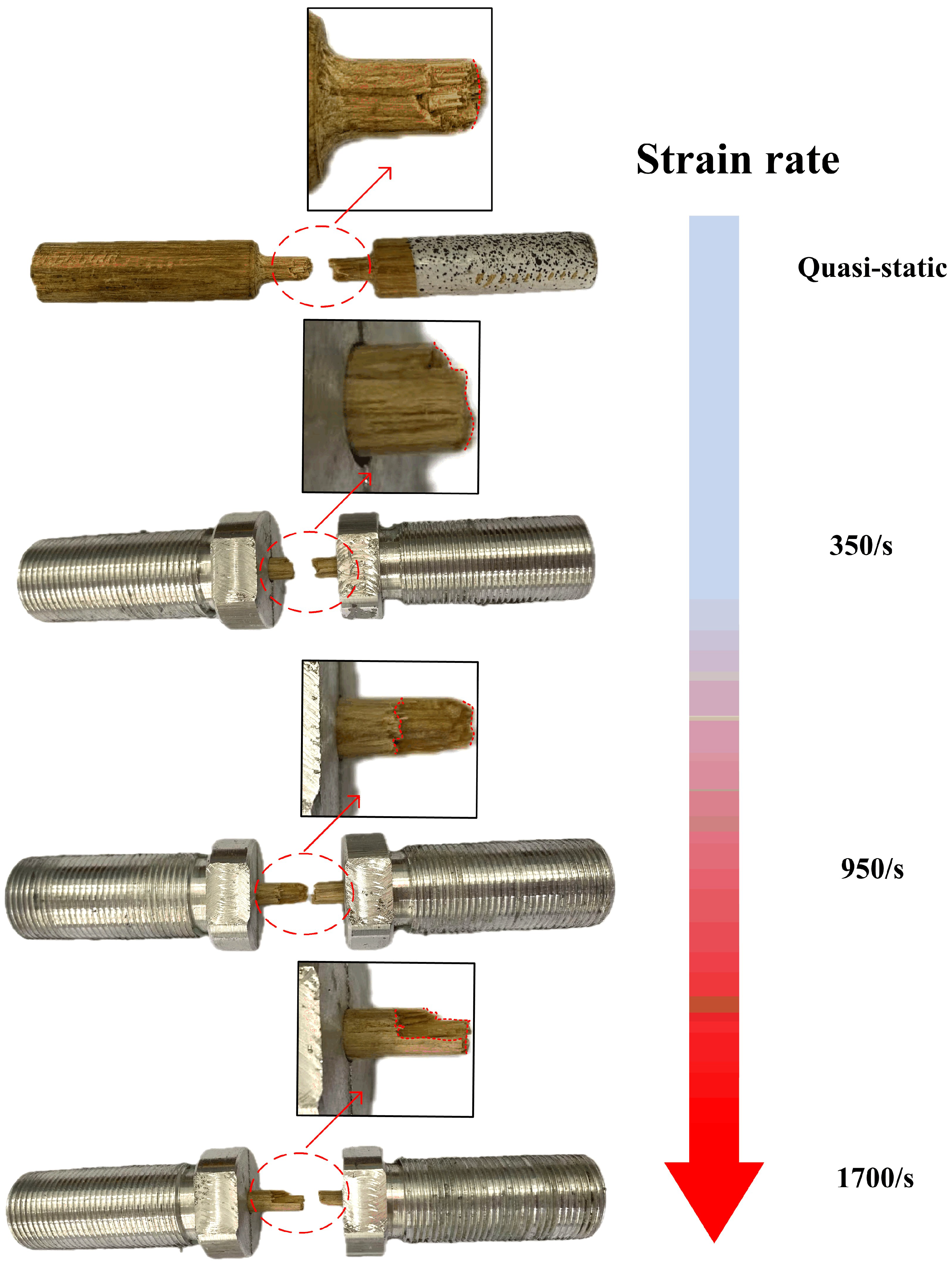 Materials 18 02550 g016