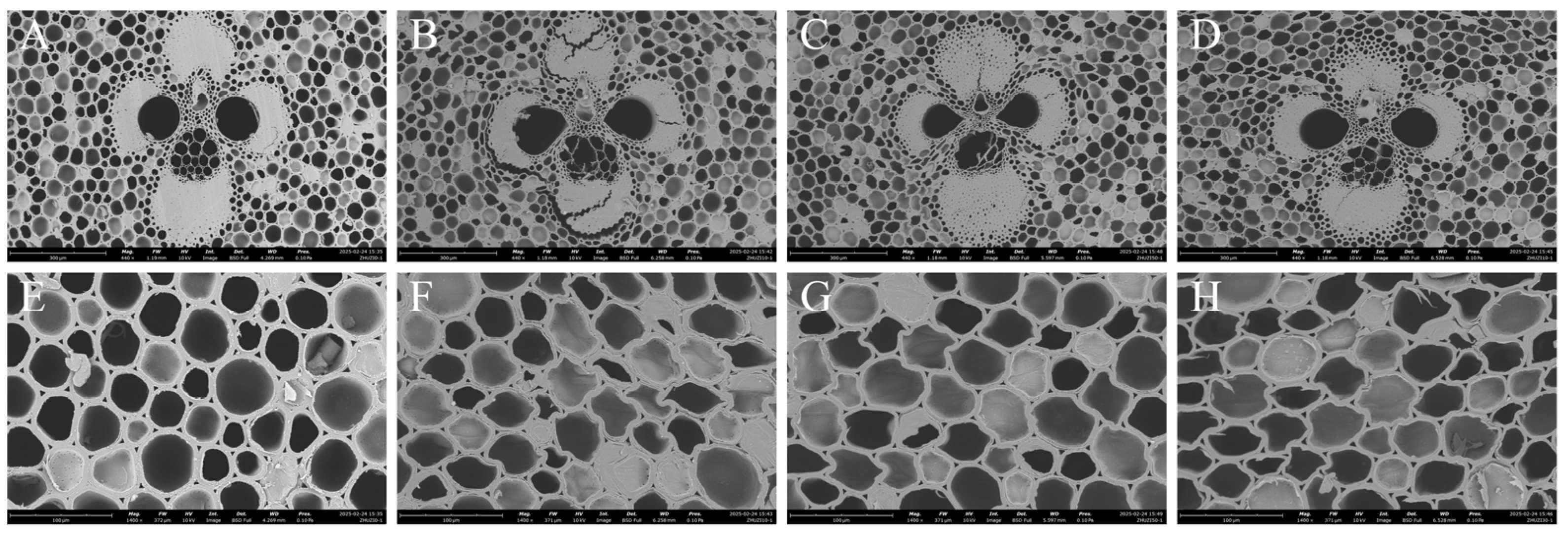 Materials 18 02551 g006