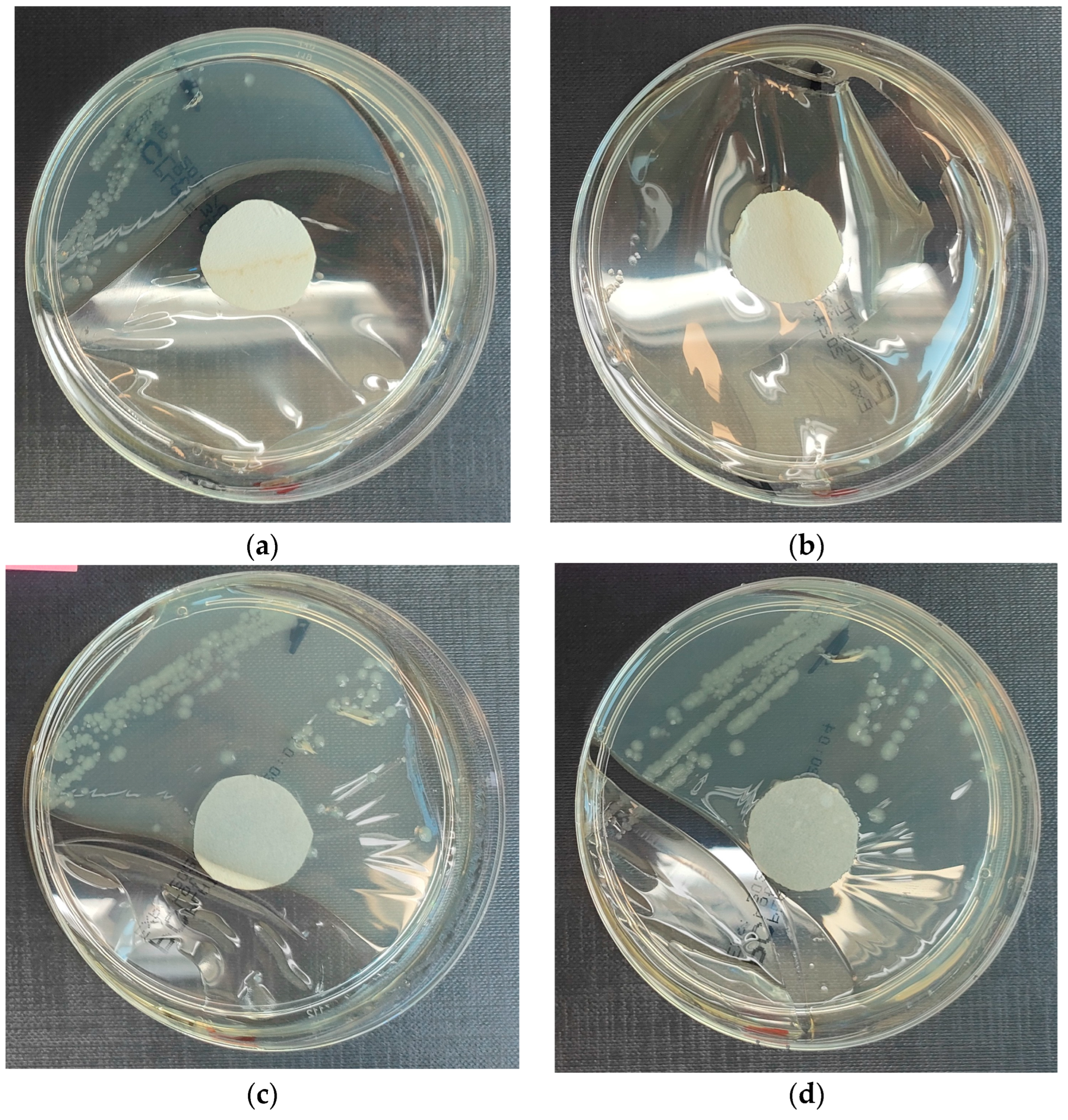 Materials 18 02560 g004a