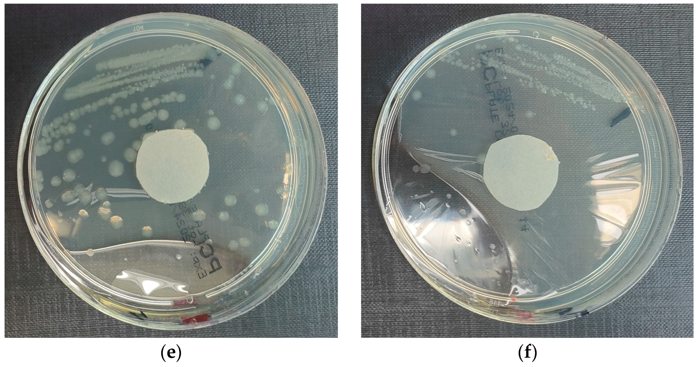 Materials 18 02560 g004b