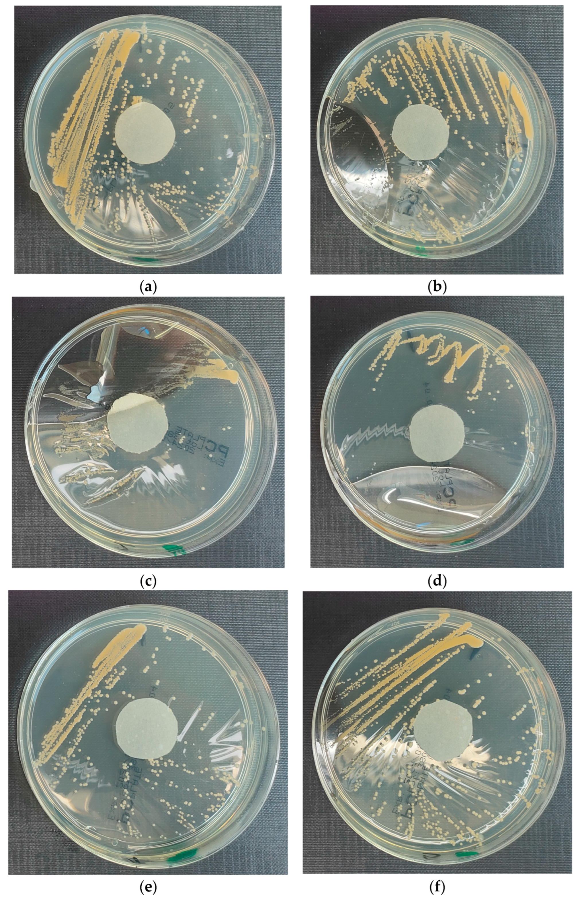Materials 18 02560 g005